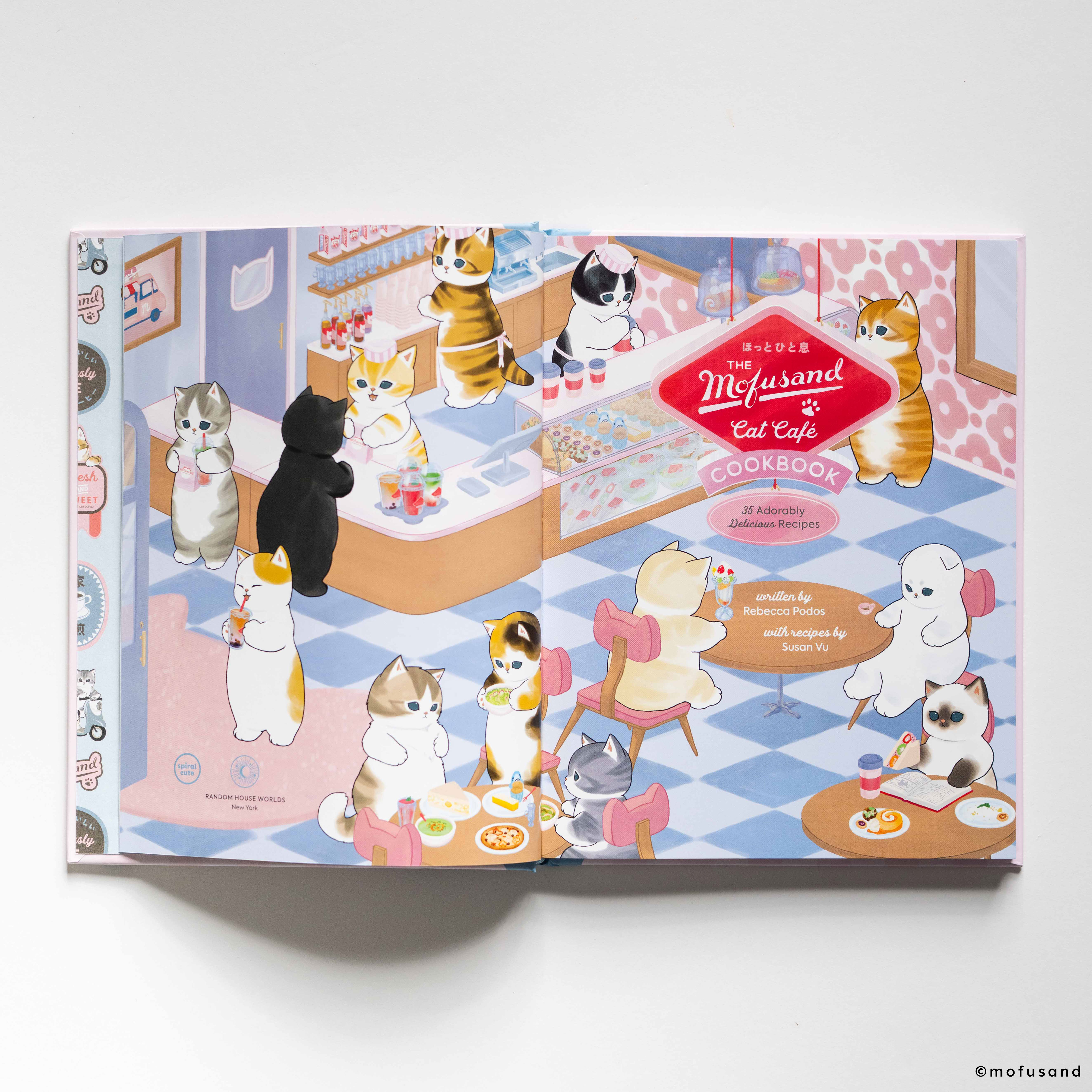 additional book photo