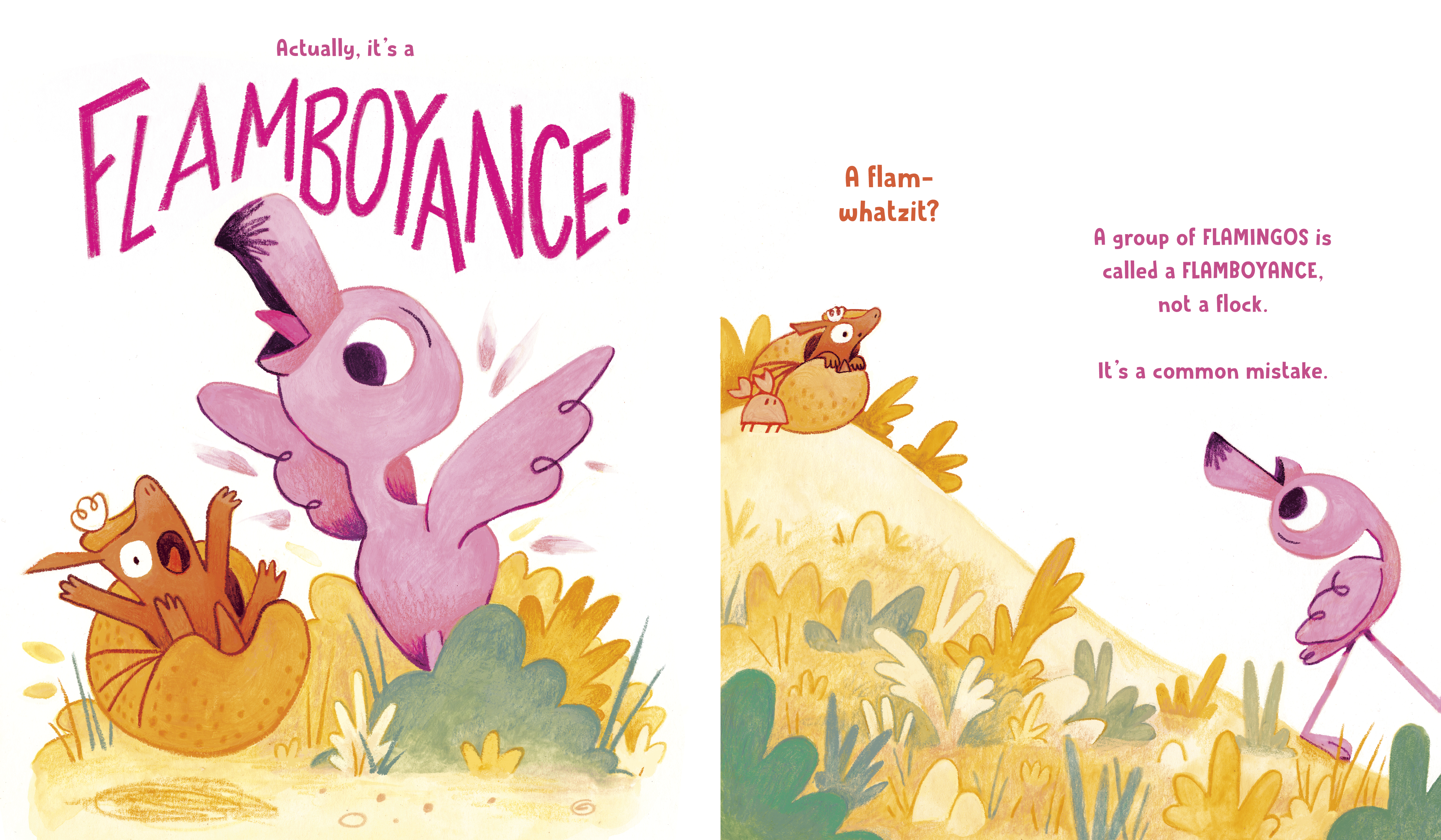 additional book photo