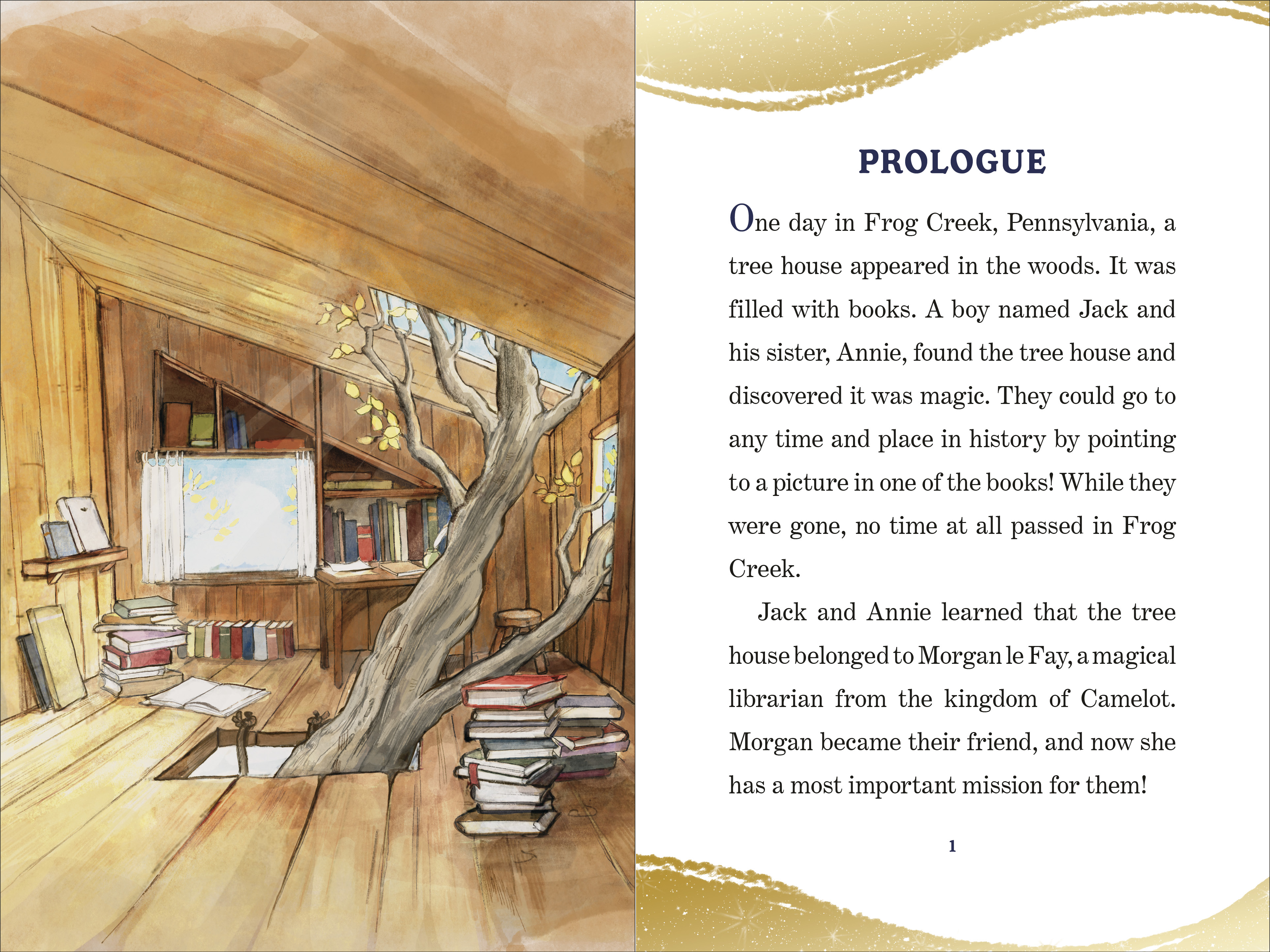 additional book photo