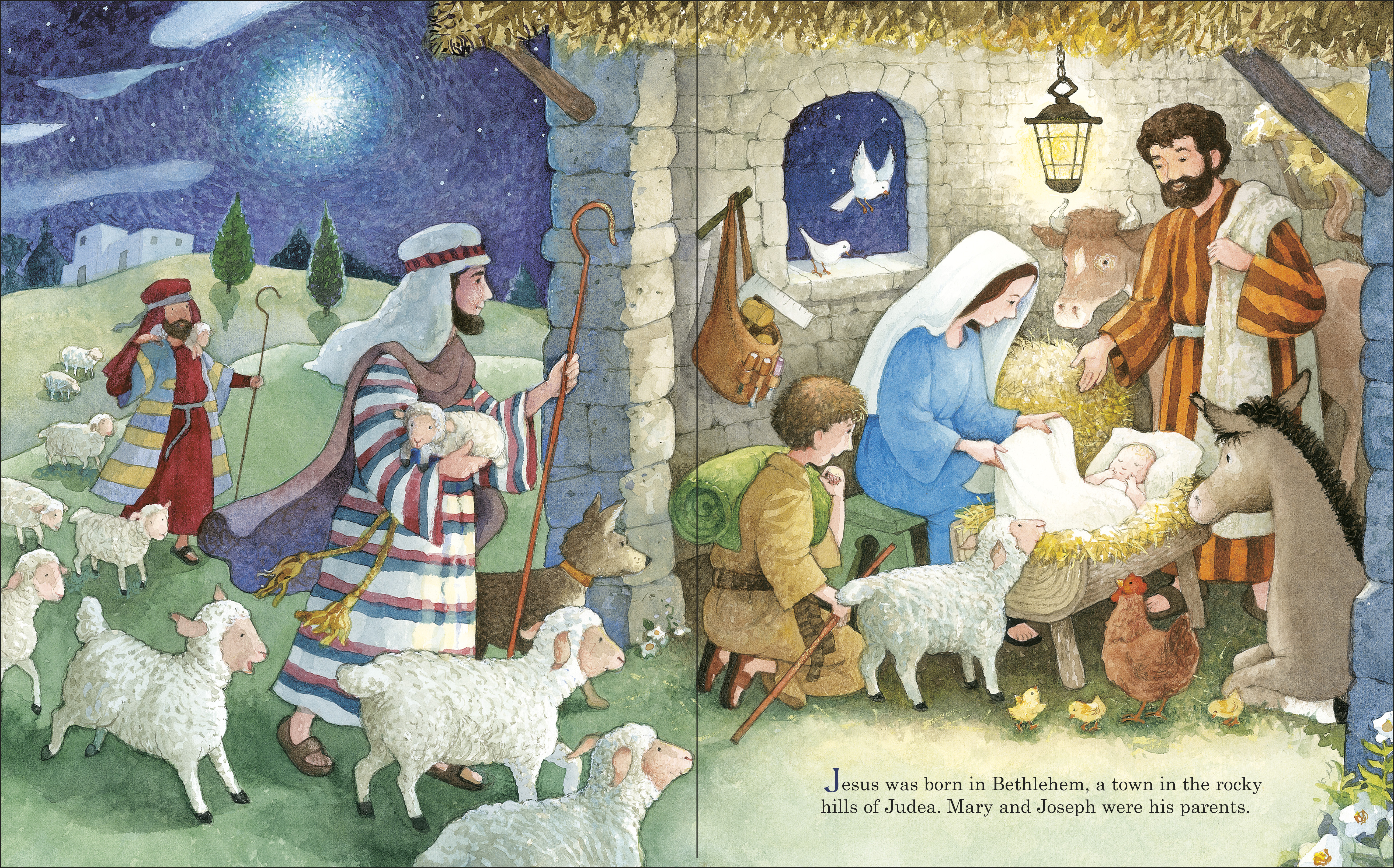 additional book photo