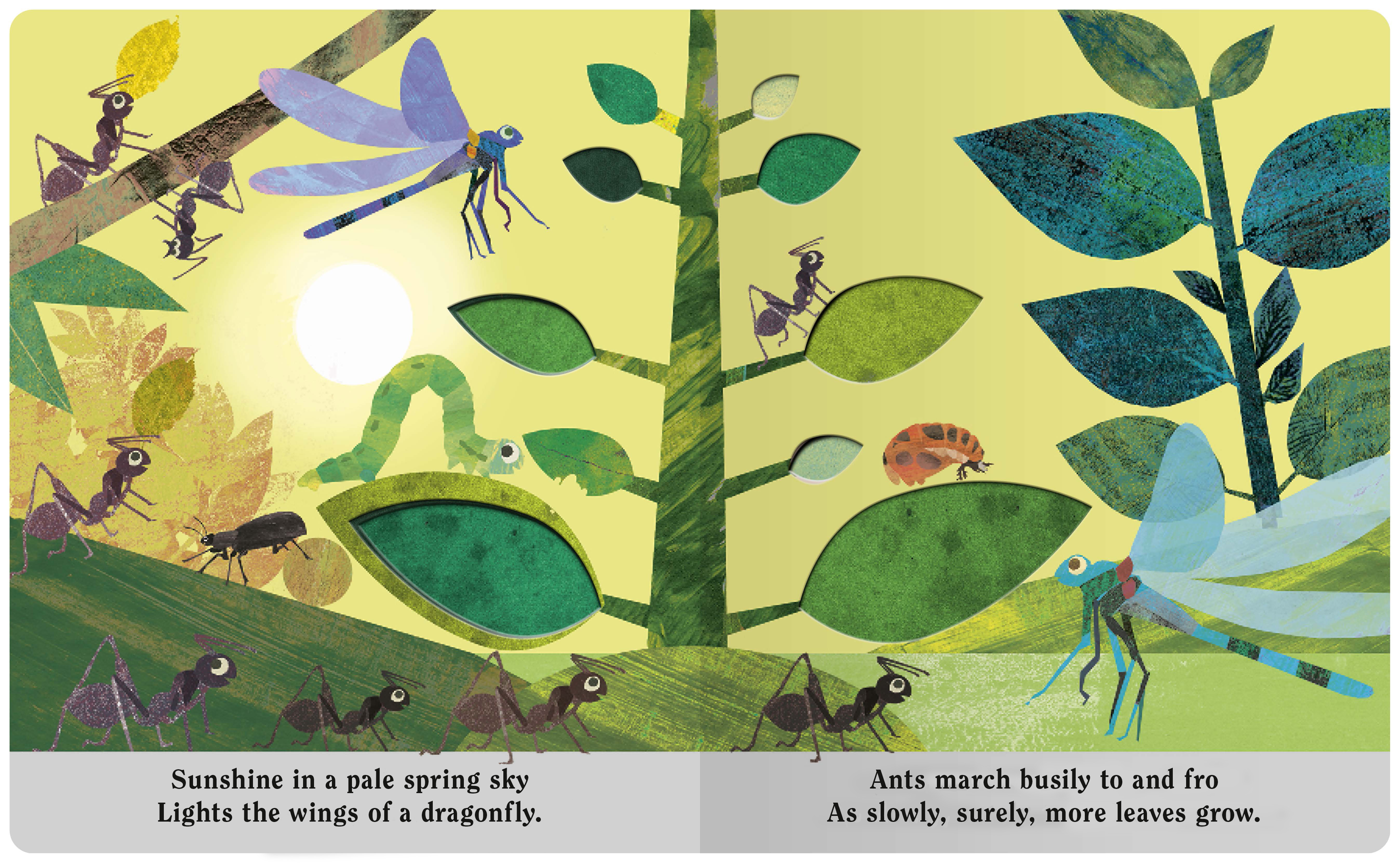 additional book photo