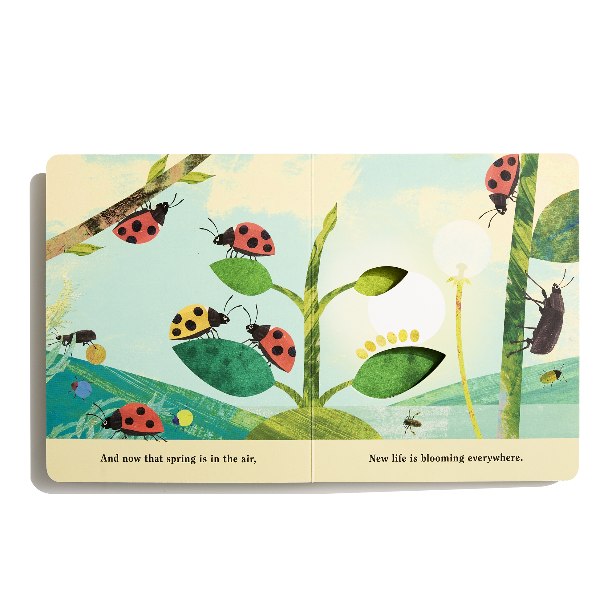 additional book photo