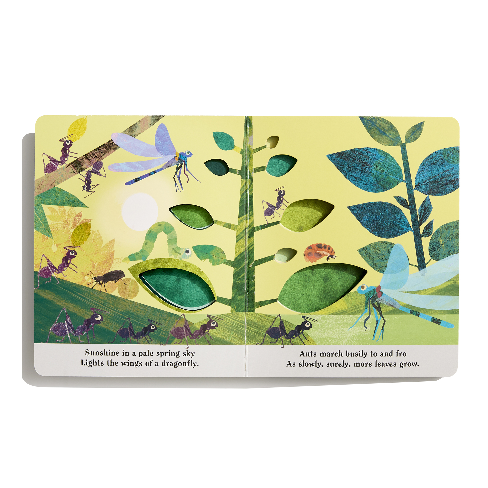 additional book photo