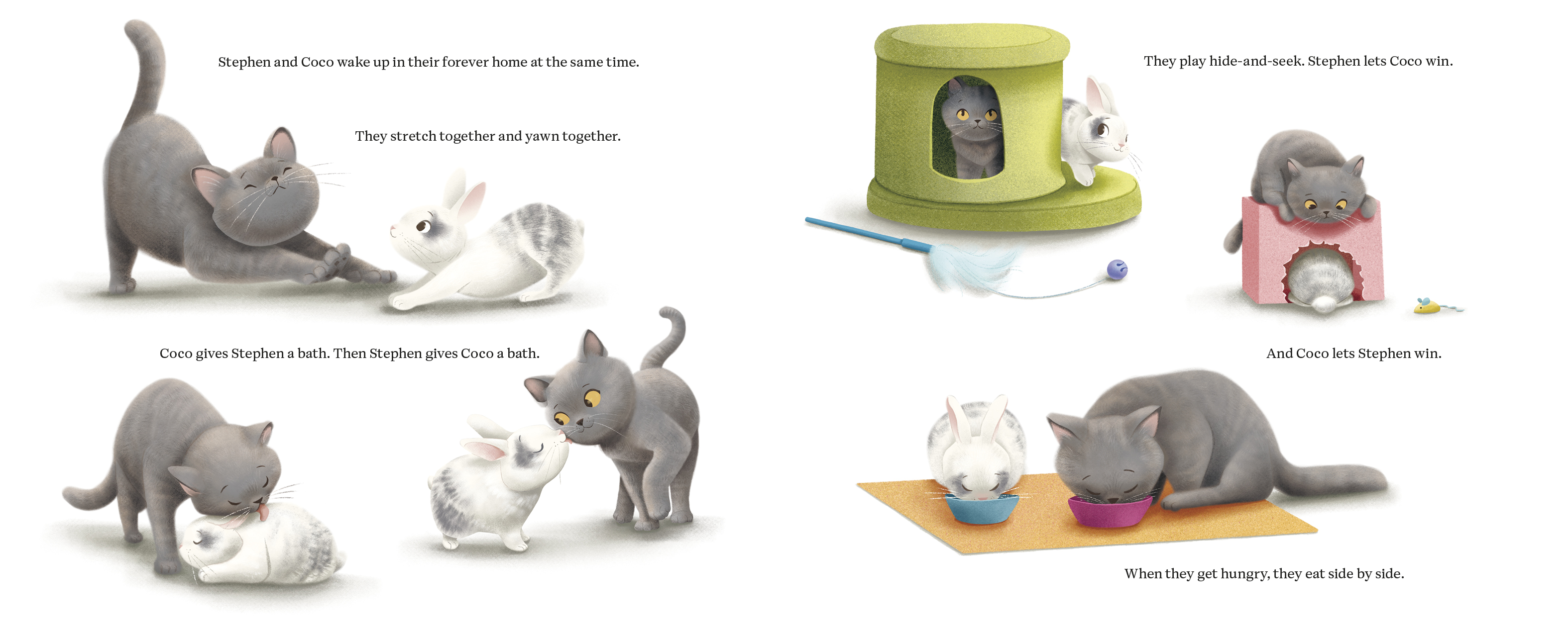 additional book photo