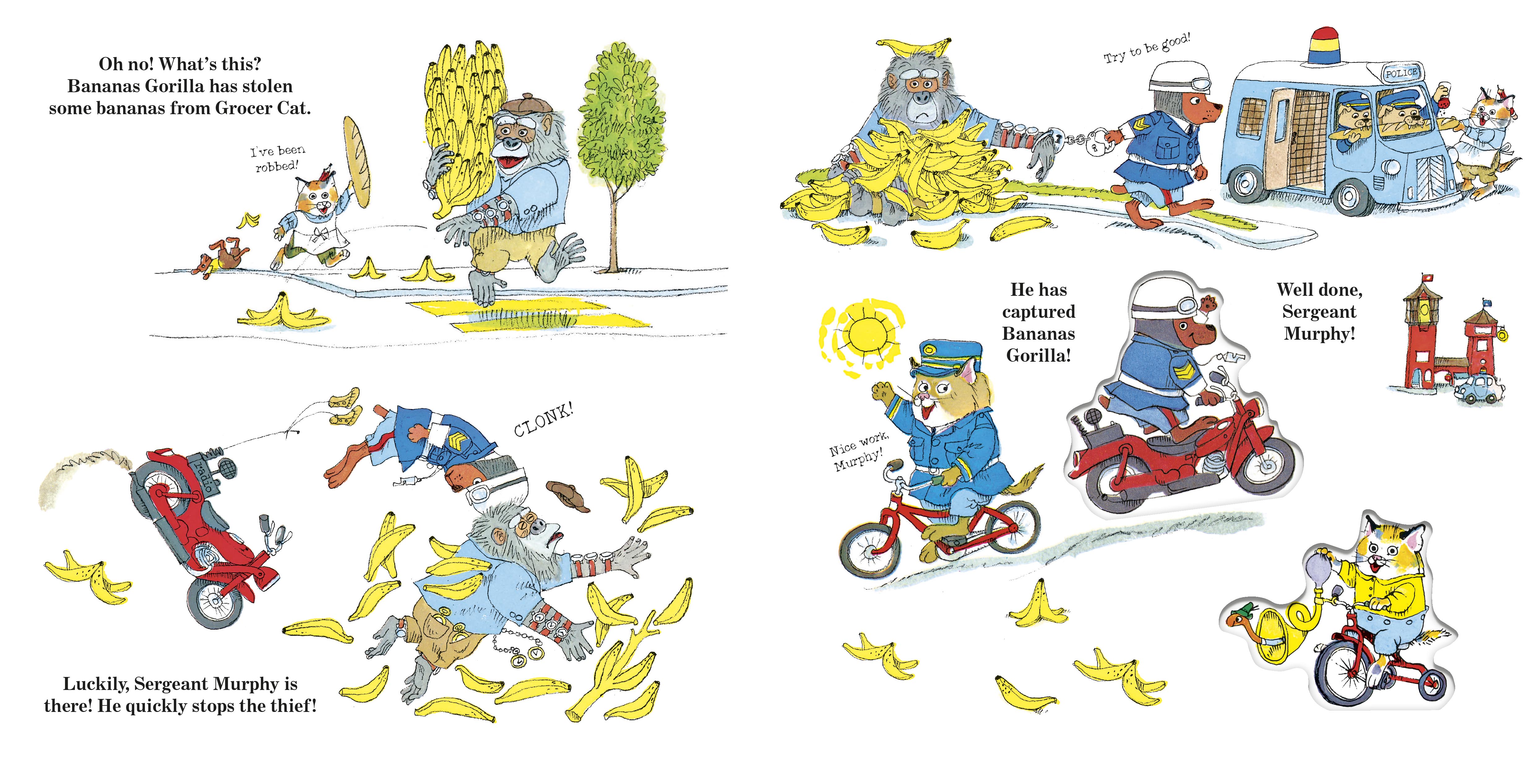 additional book photo