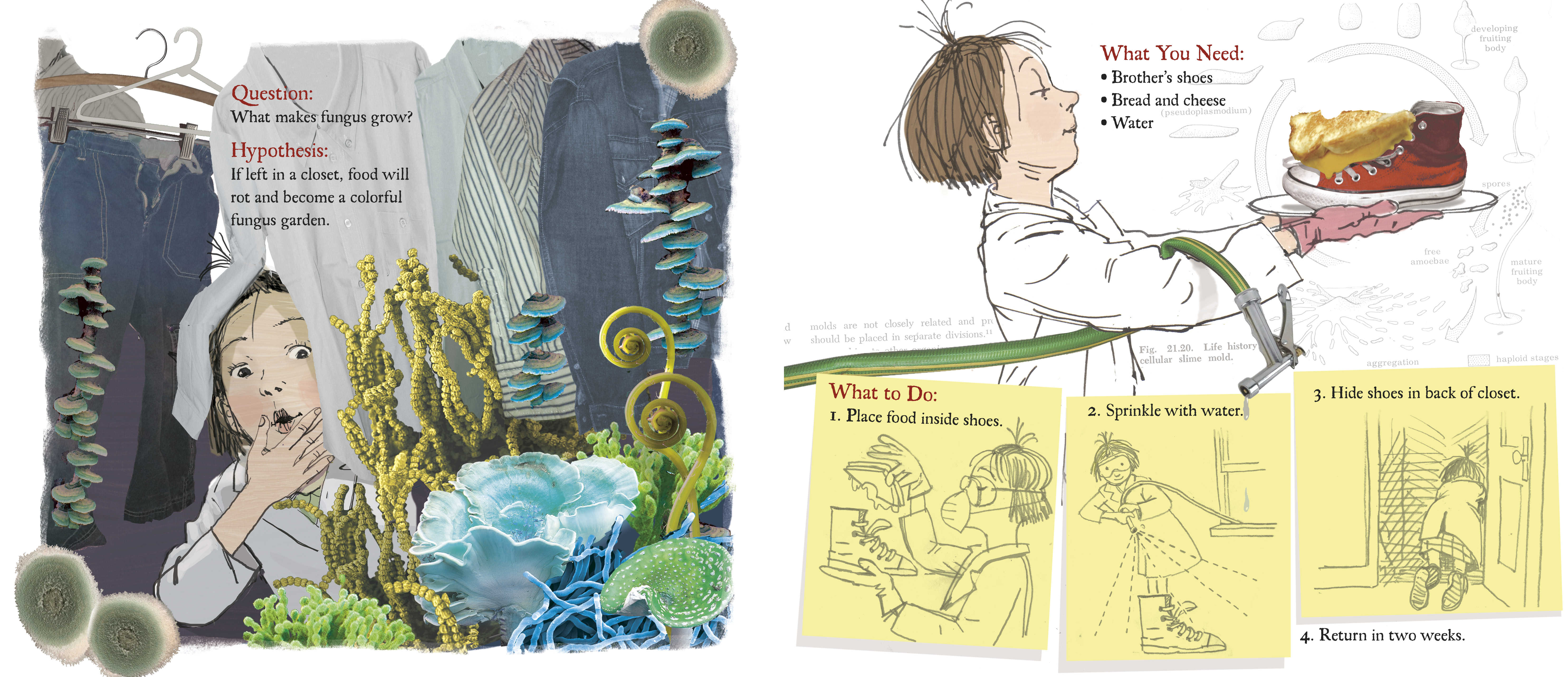 additional book photo