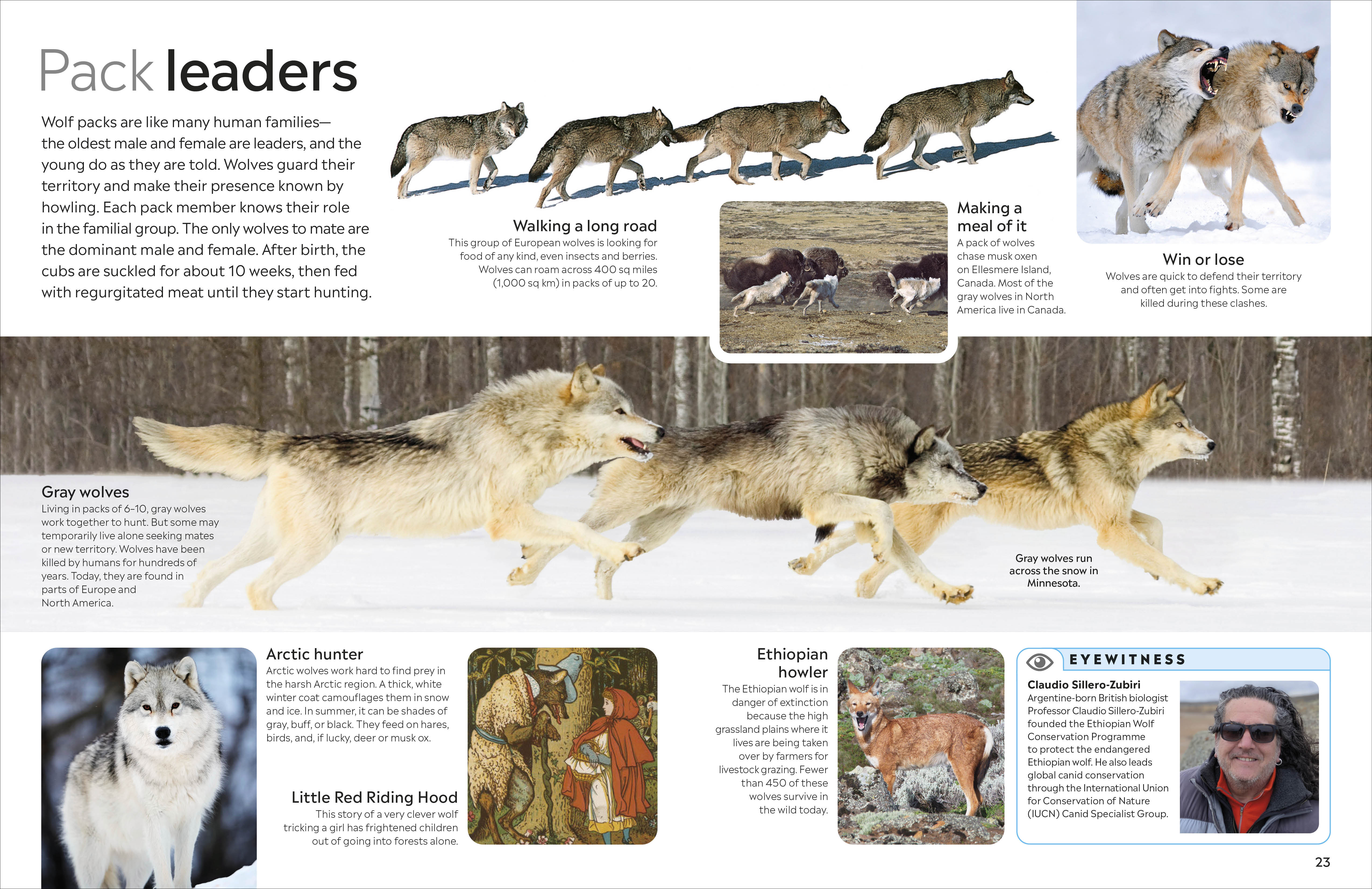 additional book photo