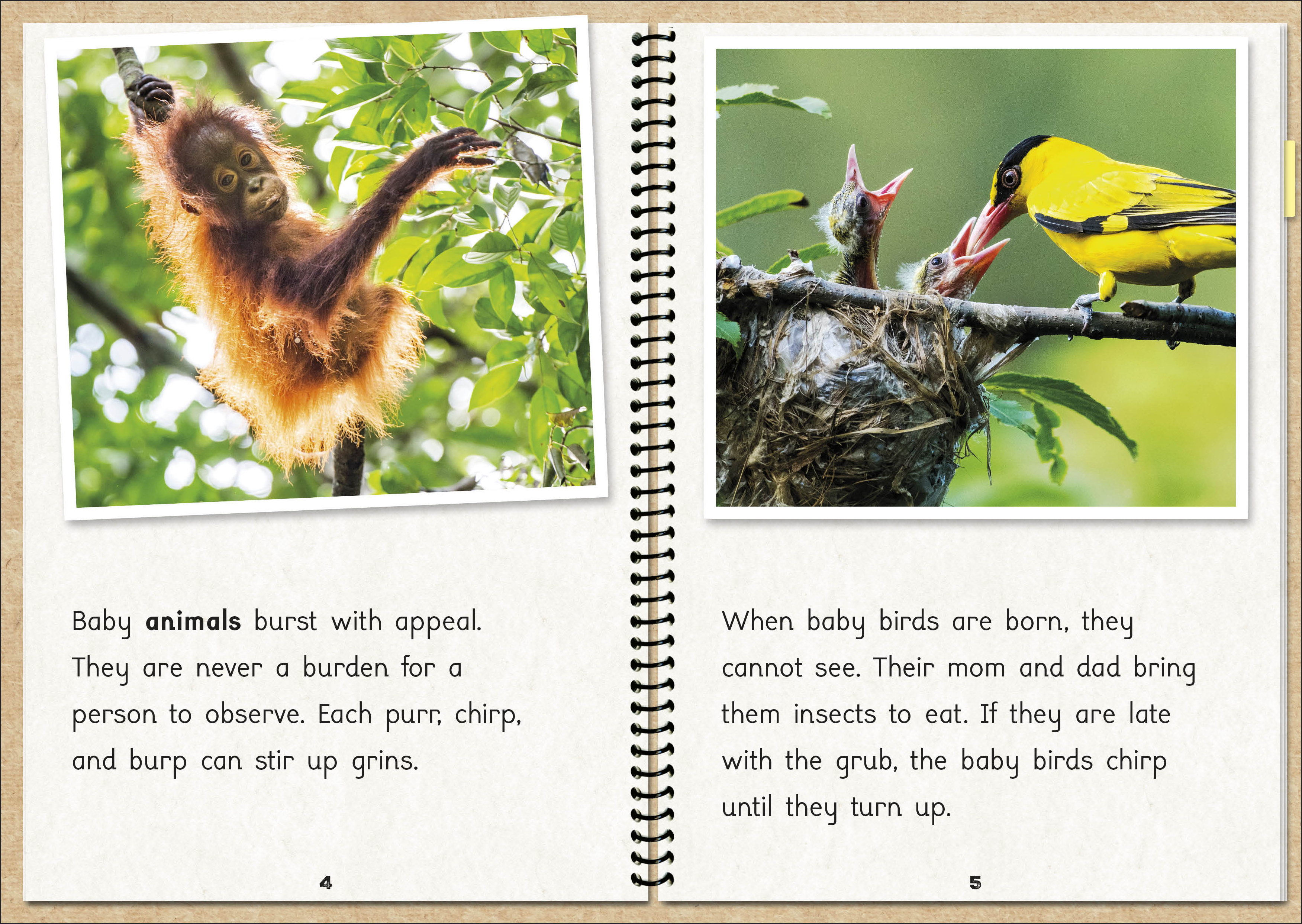 additional book photo