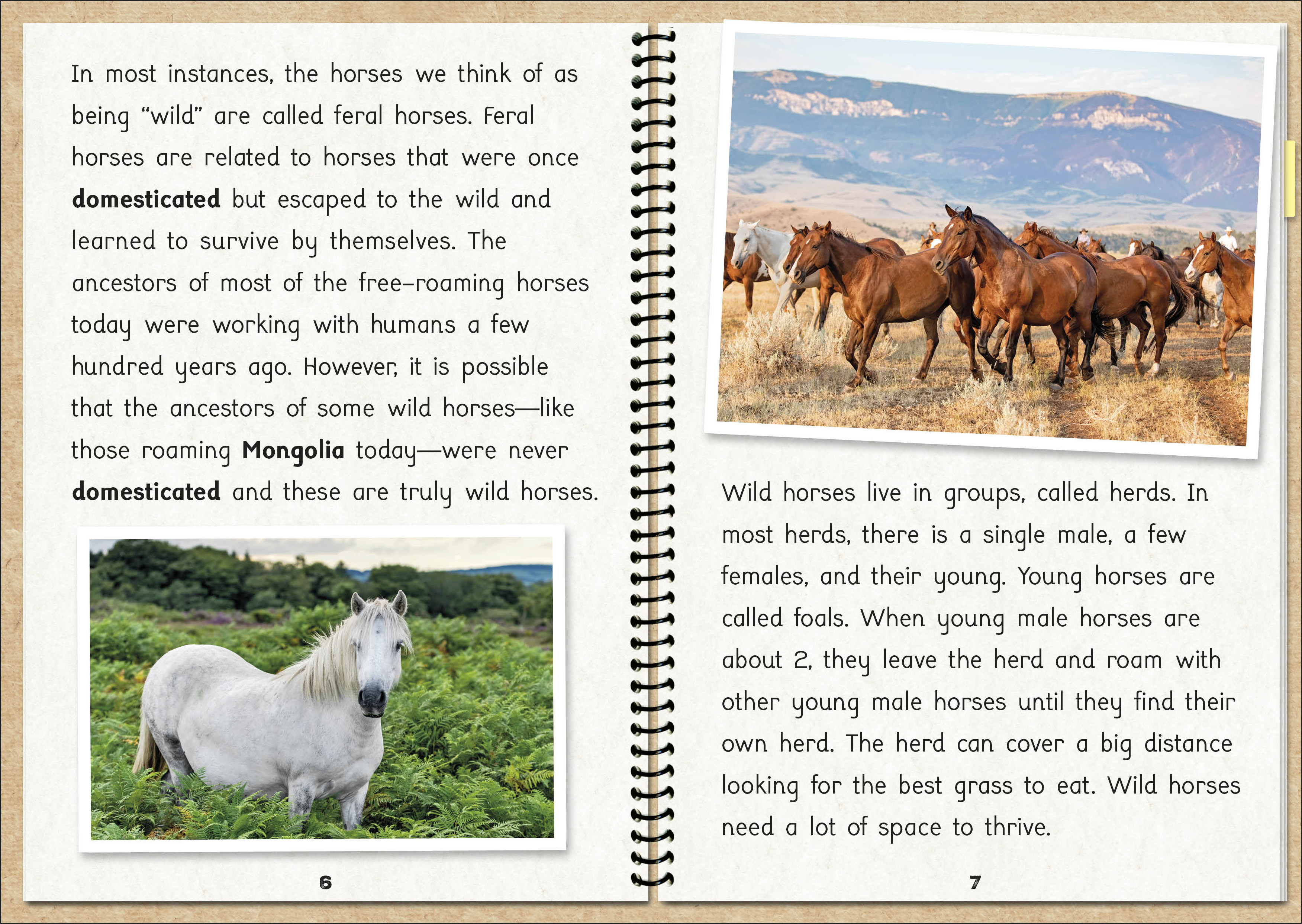 additional book photo