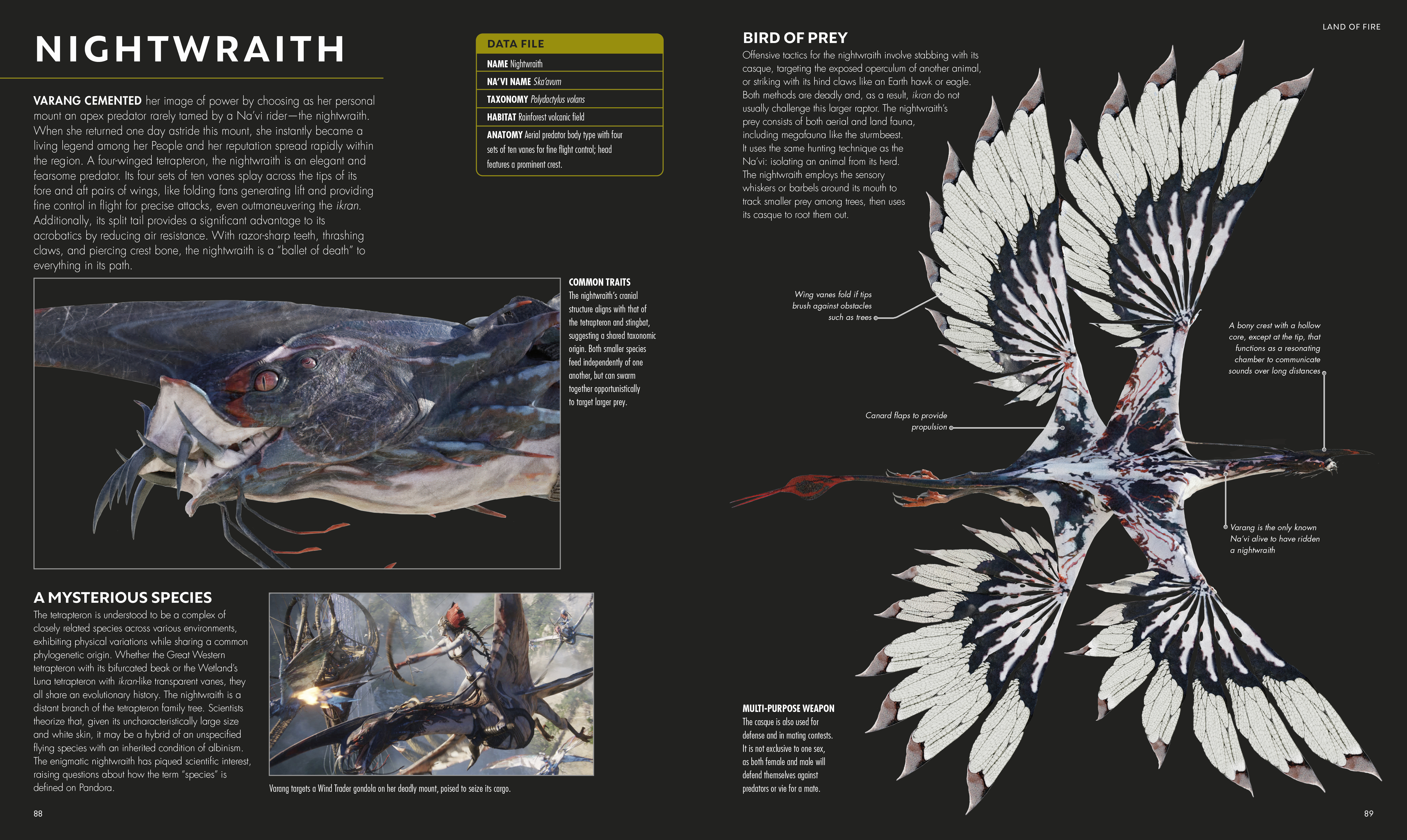 additional book photo