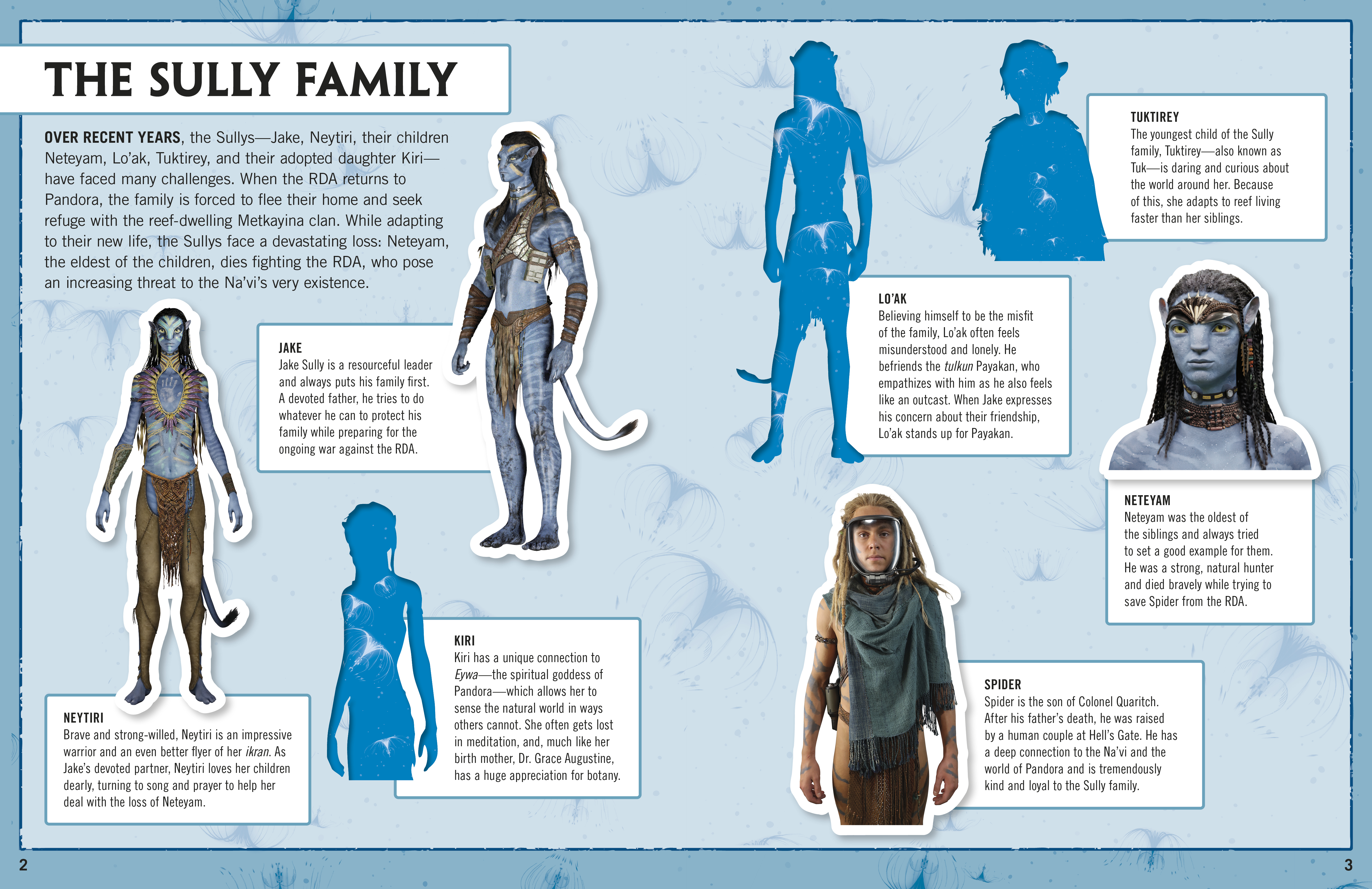 additional book photo