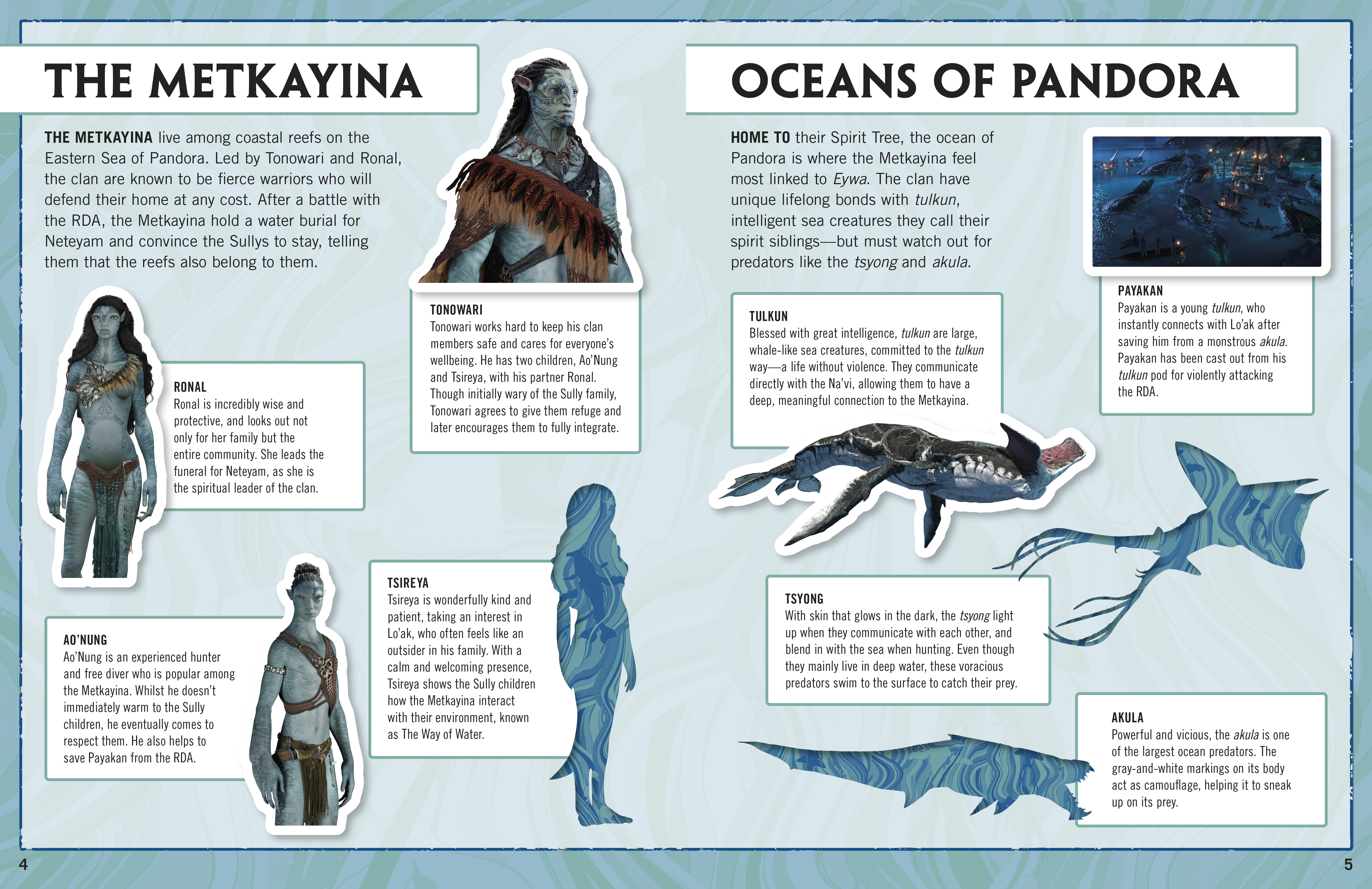 additional book photo