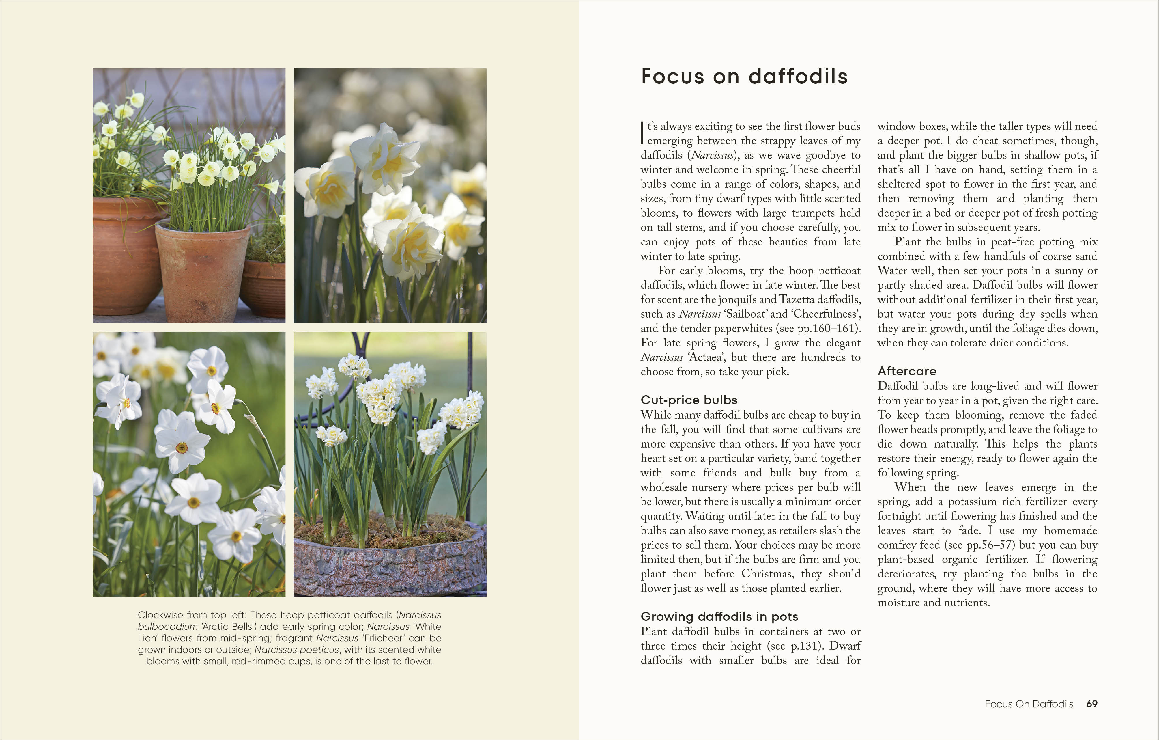 additional book photo
