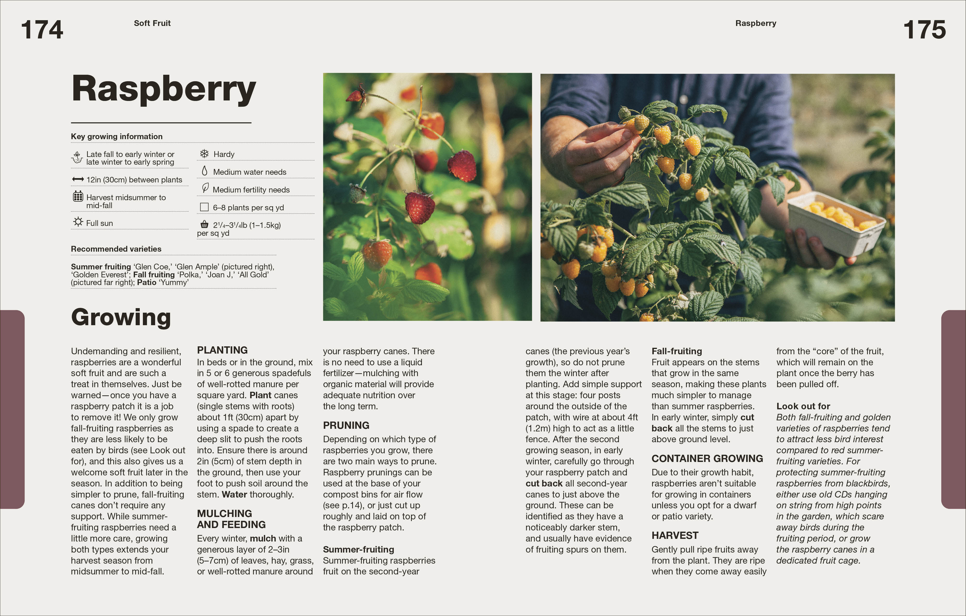 additional book photo