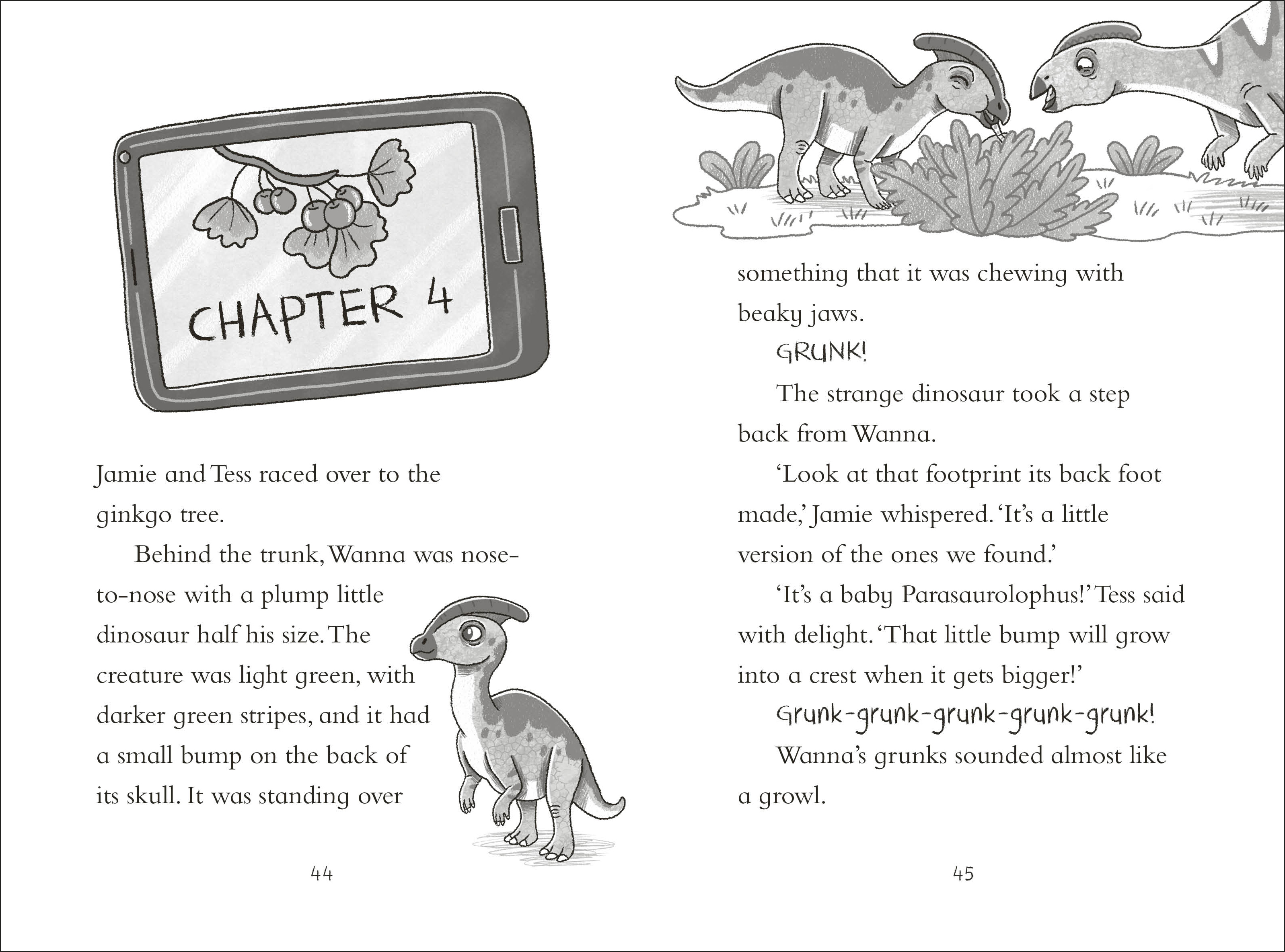 additional book photo