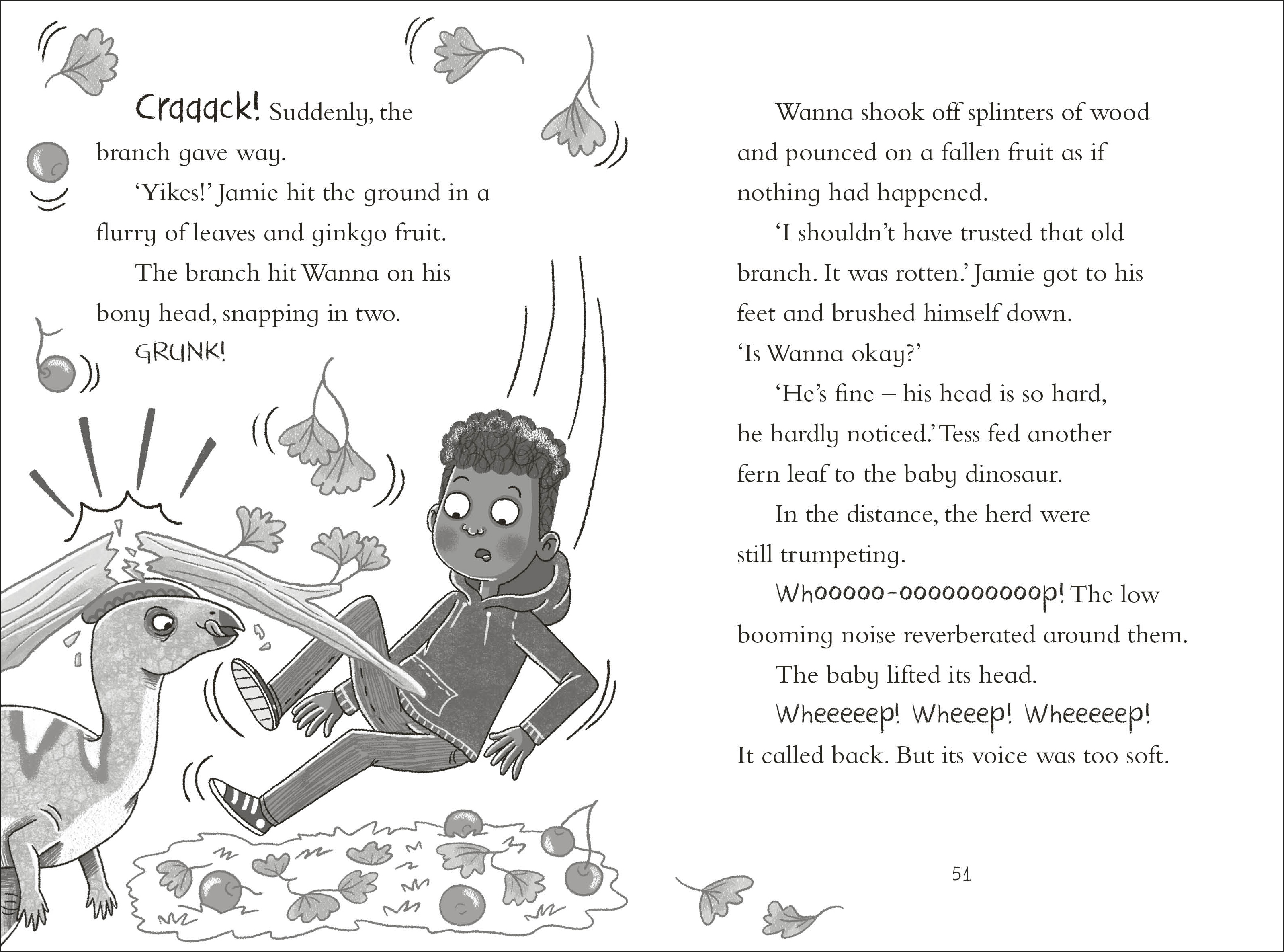 additional book photo
