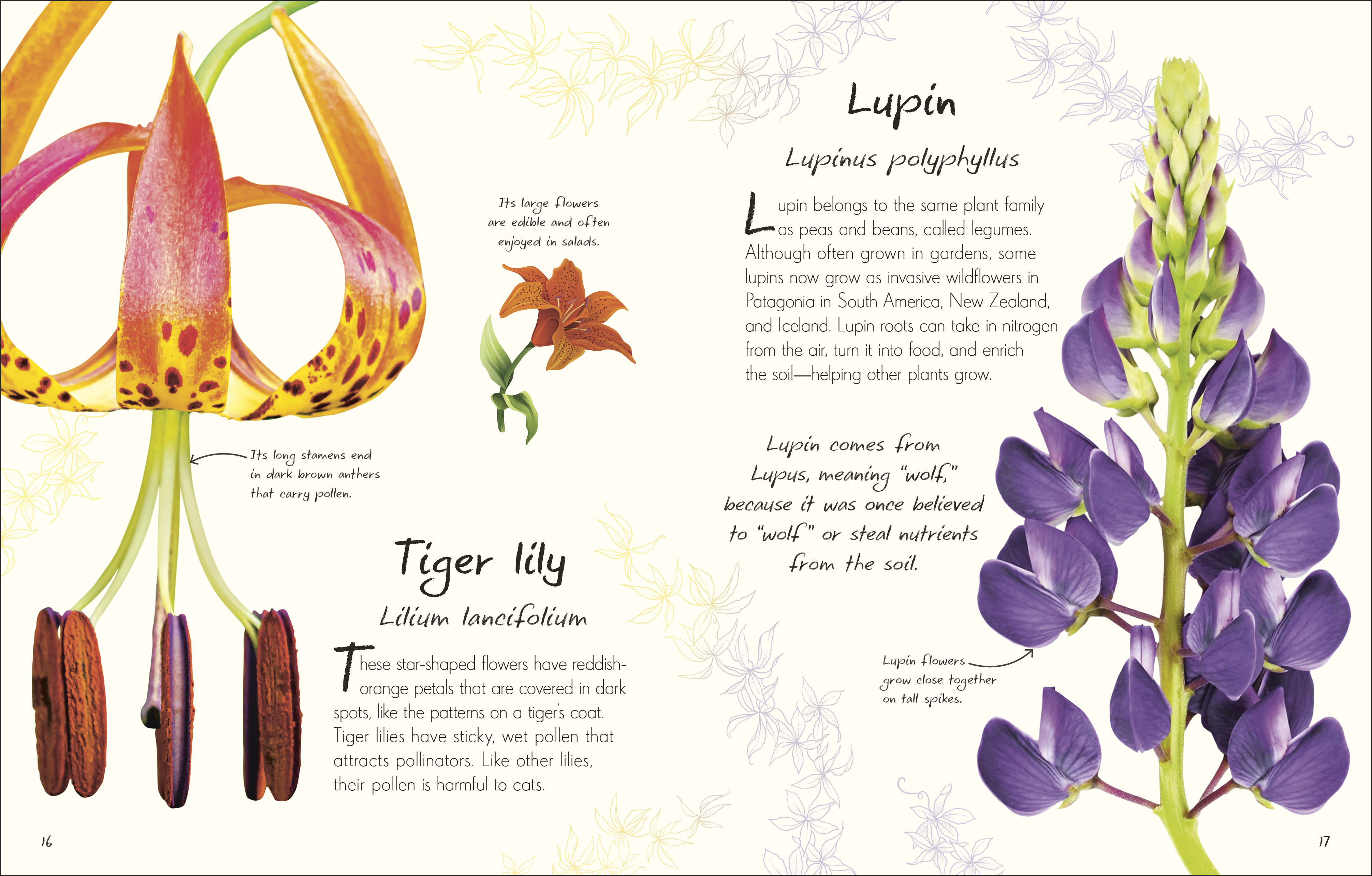 additional book photo