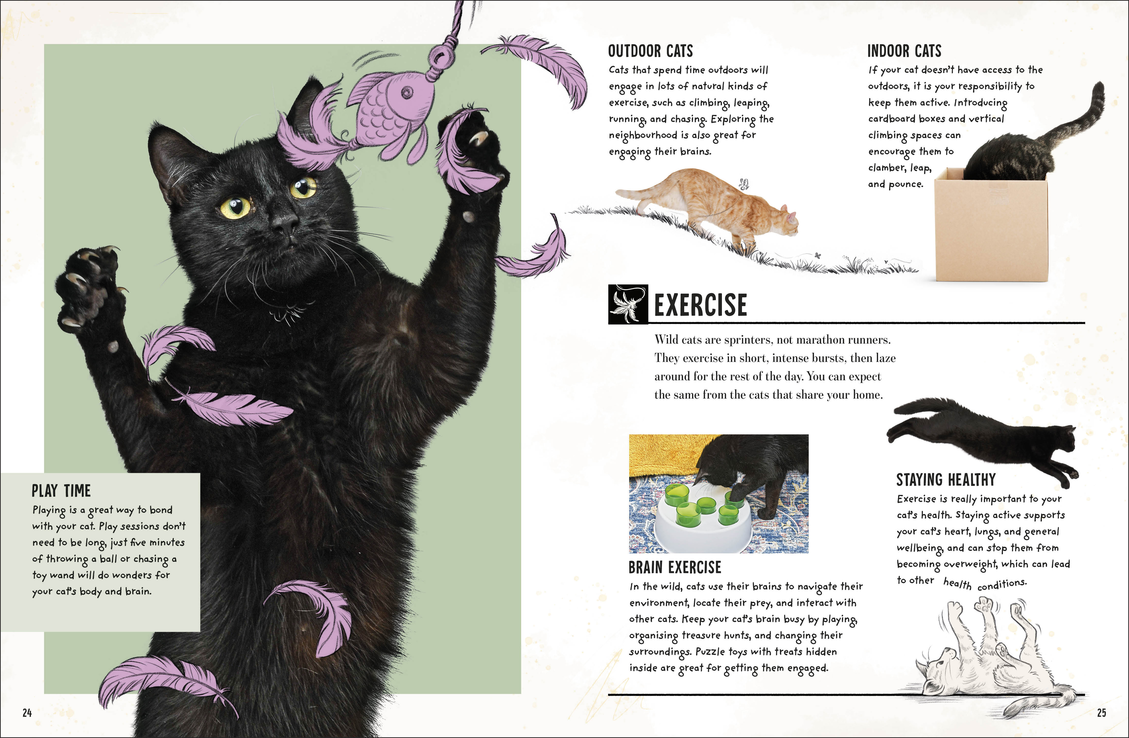 additional book photo