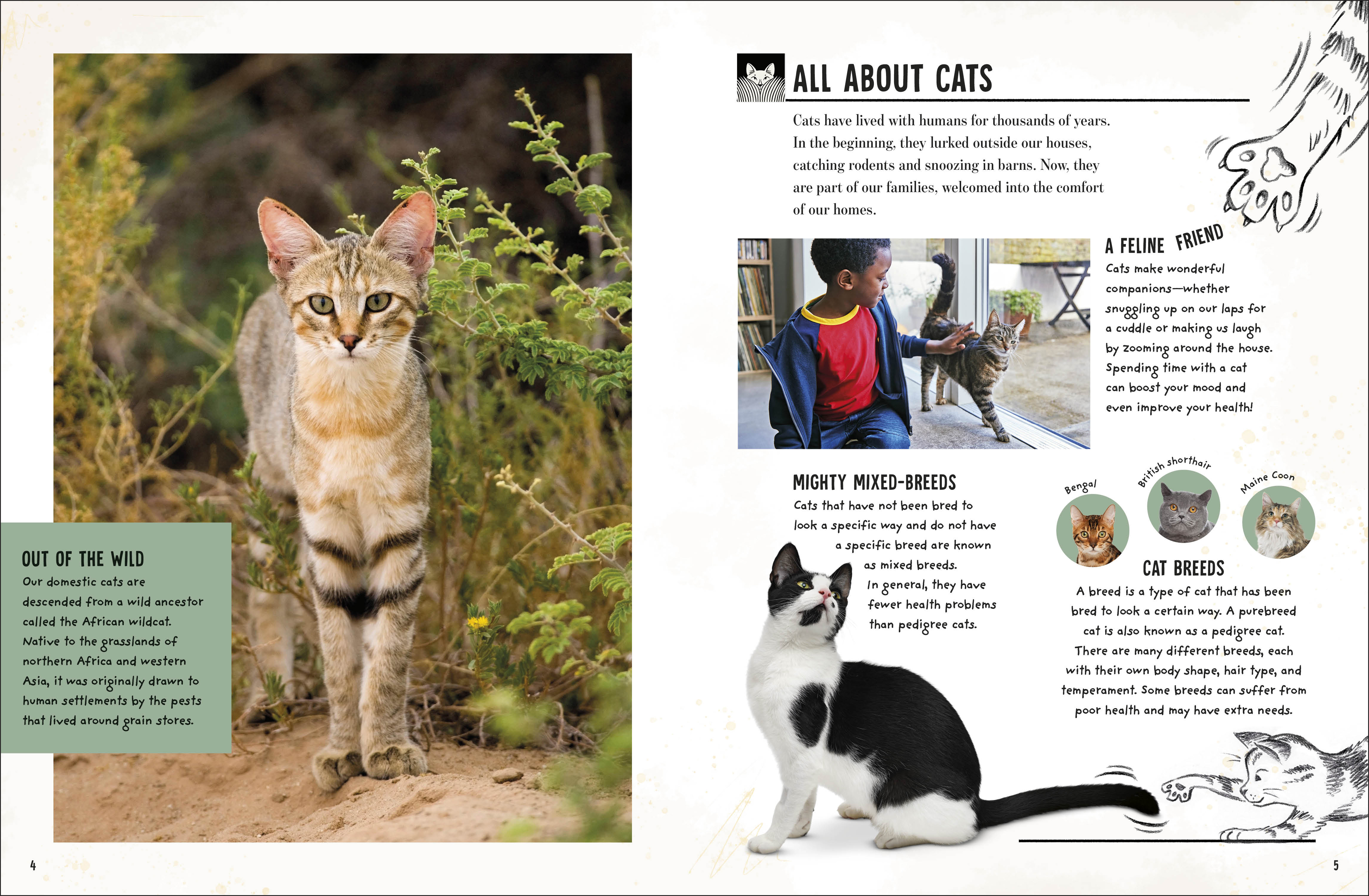 additional book photo