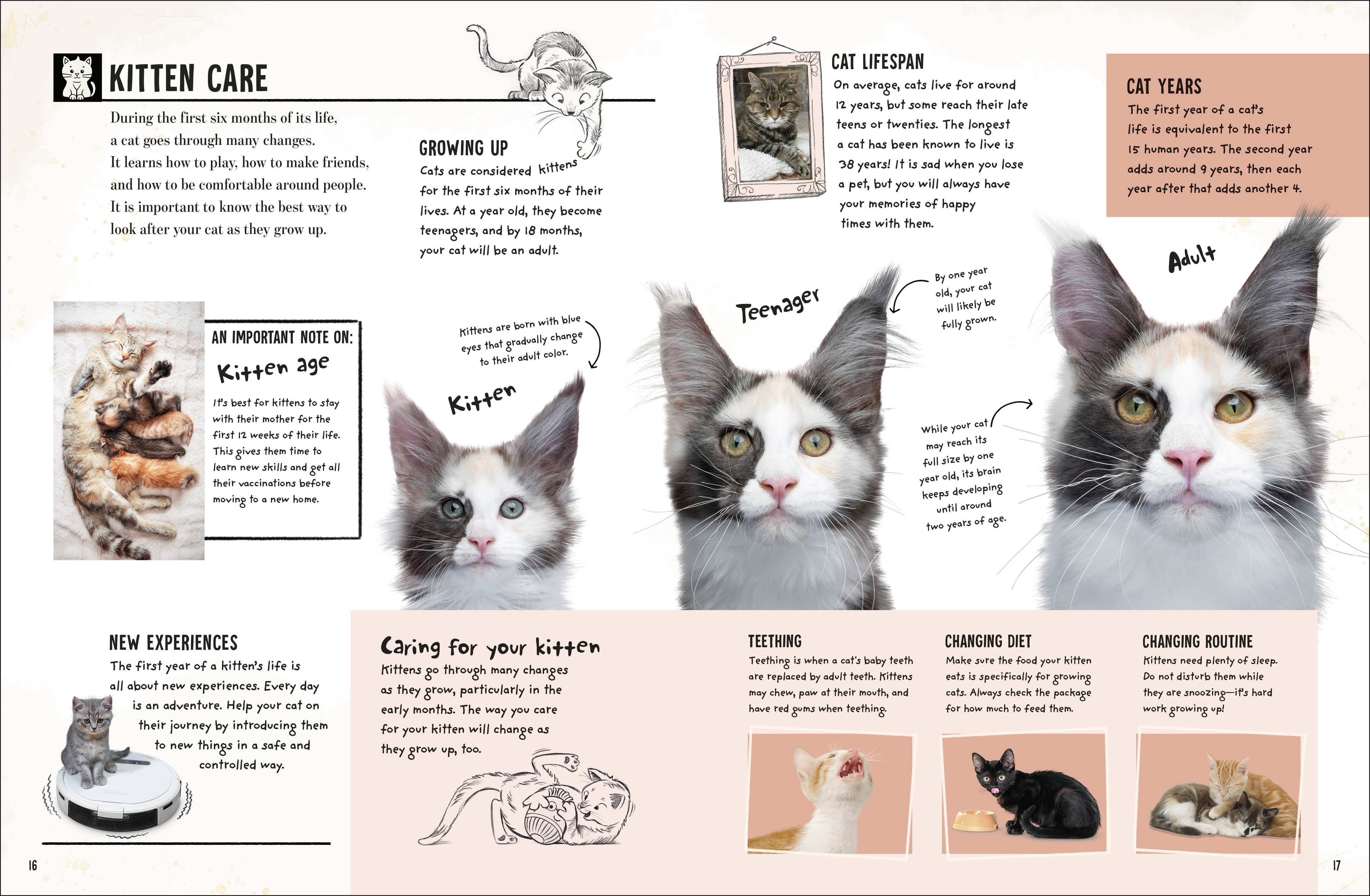 additional book photo