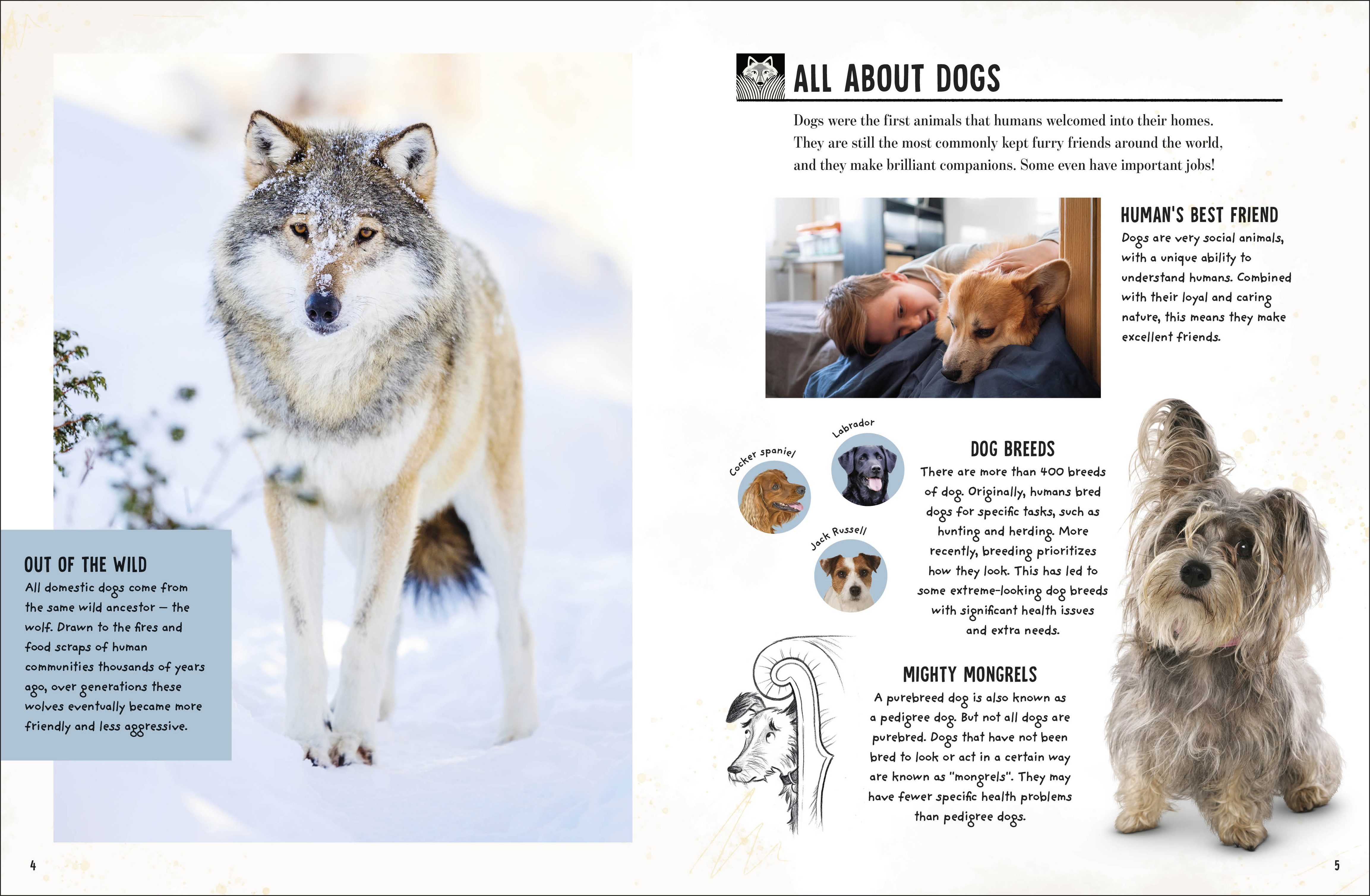 additional book photo