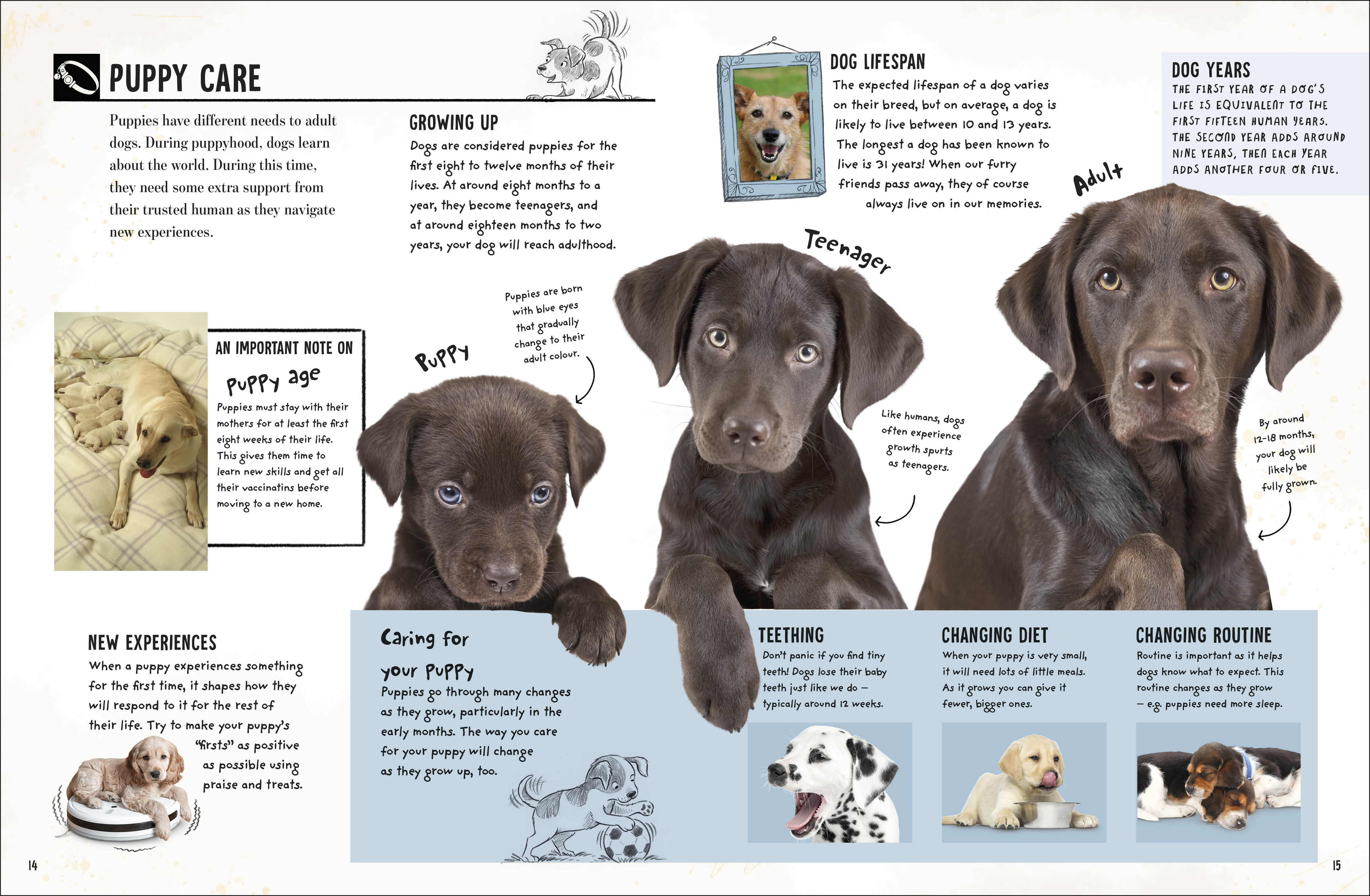 additional book photo
