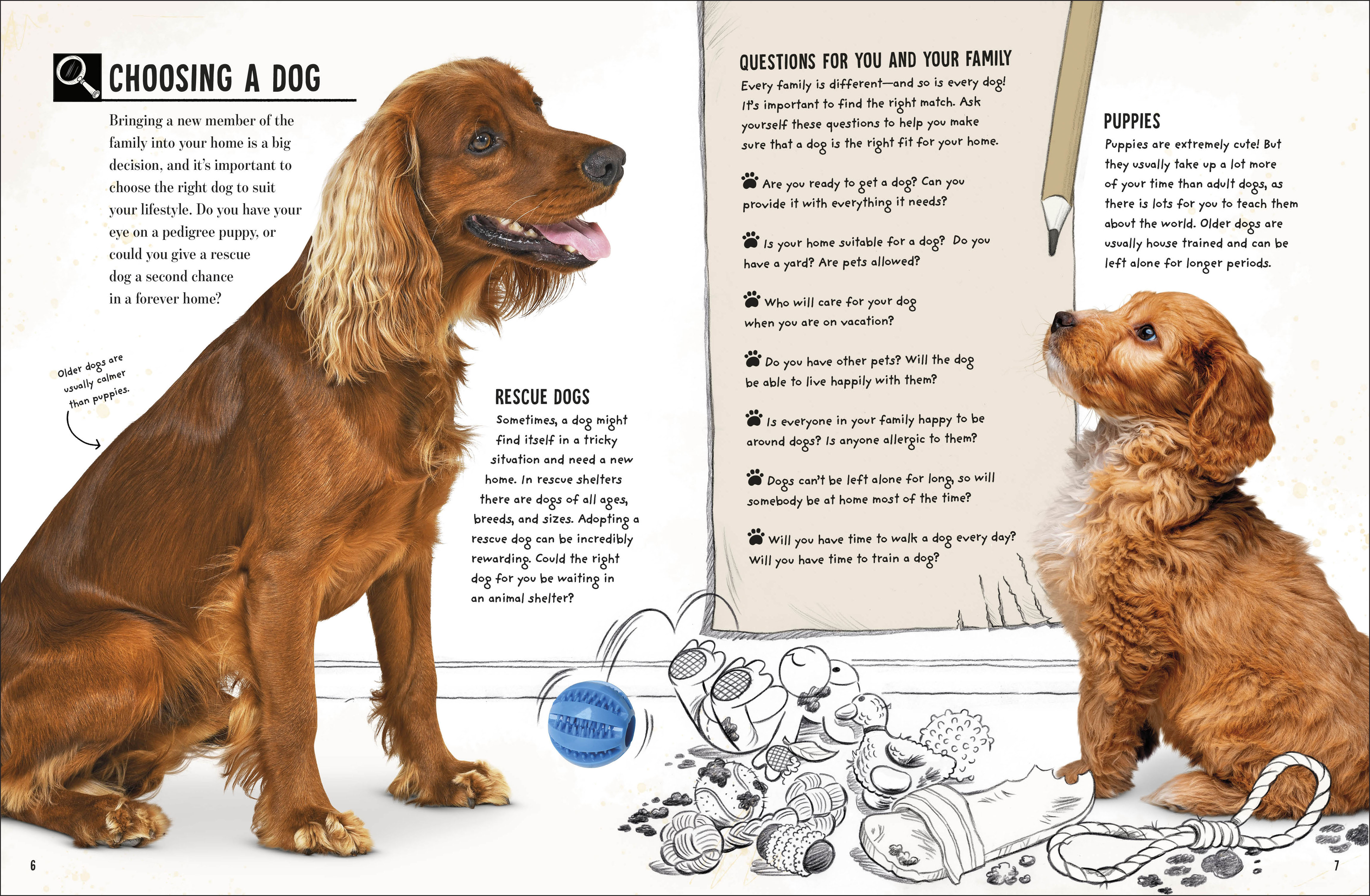 additional book photo