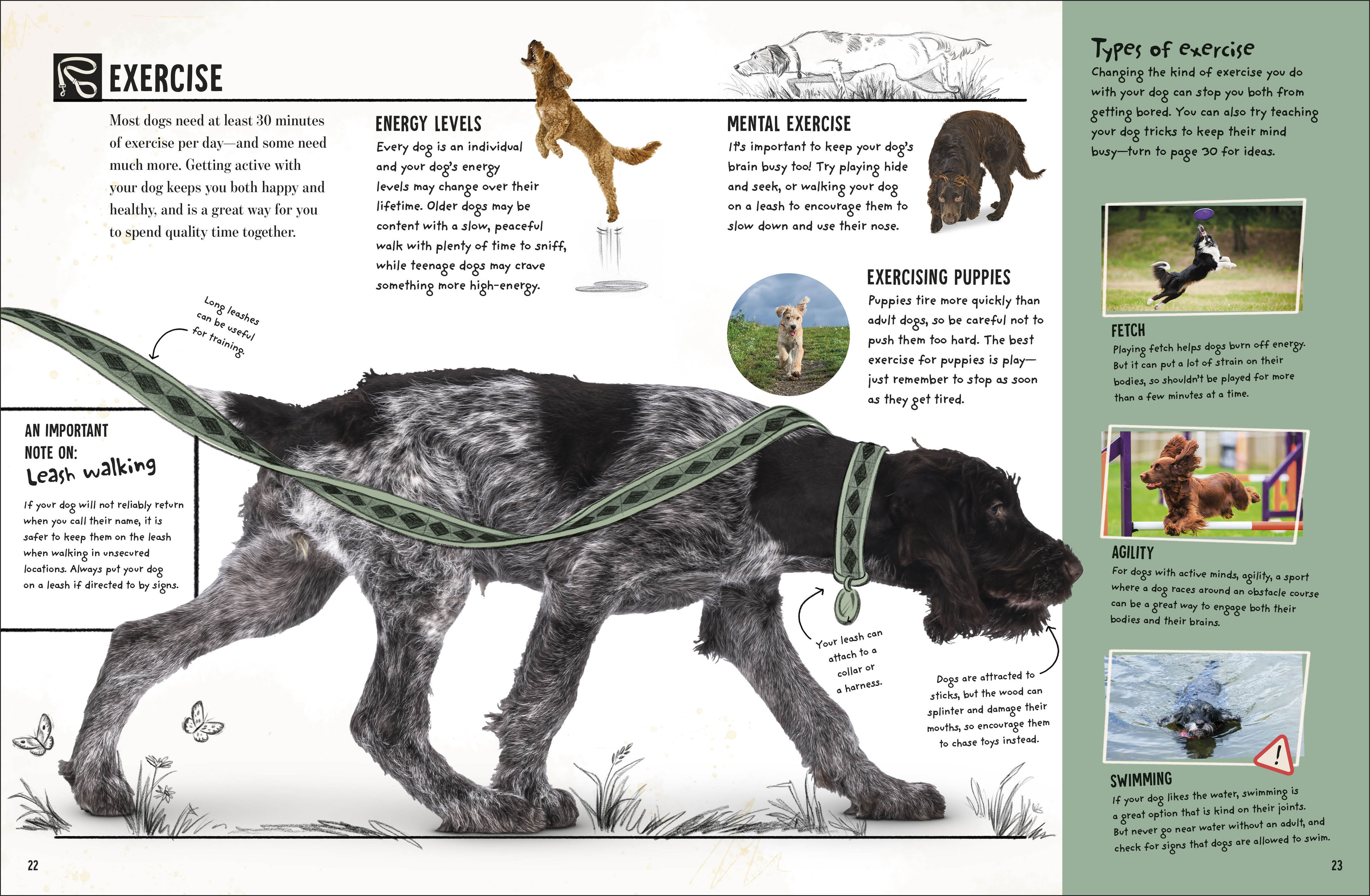 additional book photo