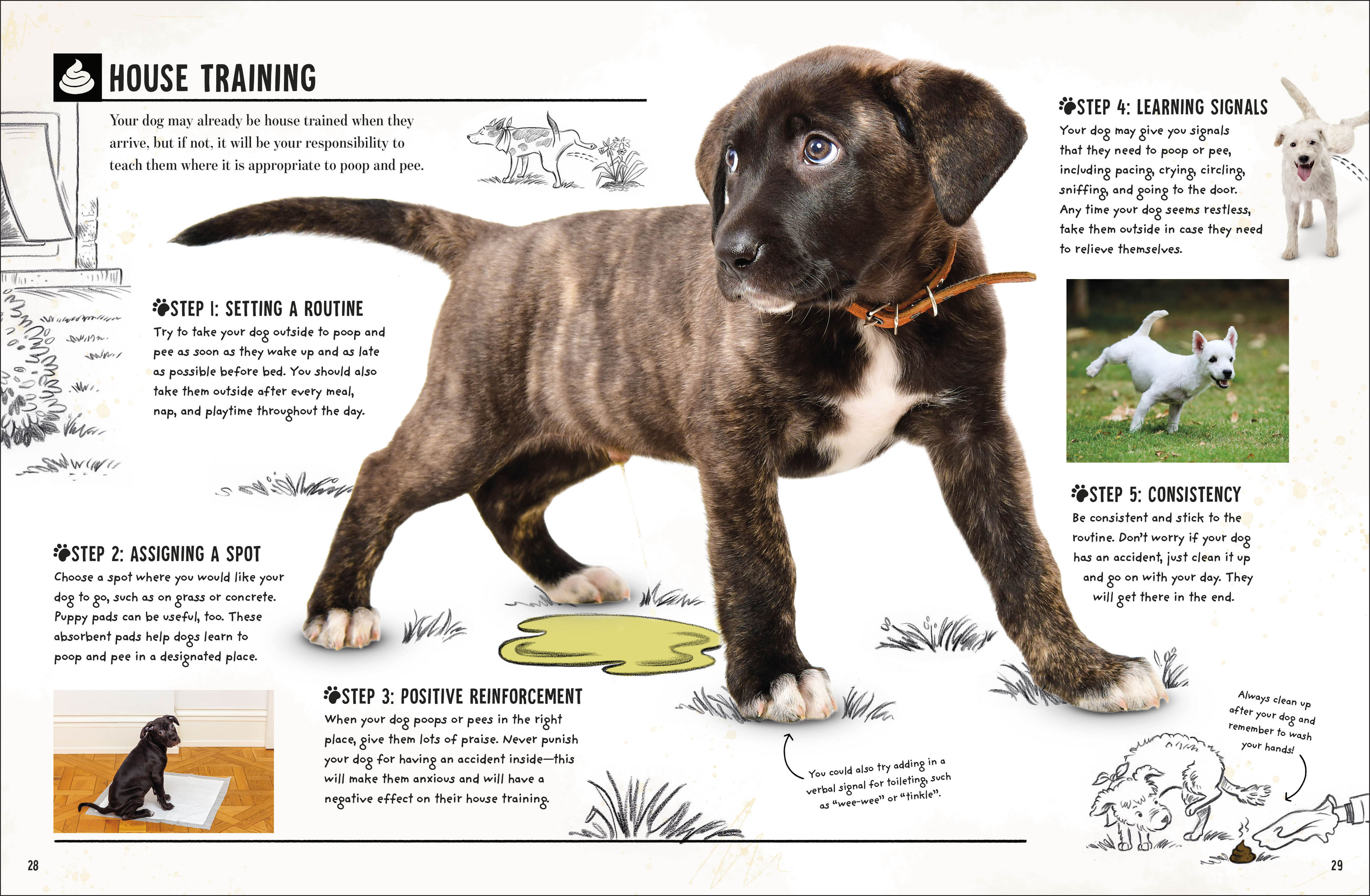 additional book photo