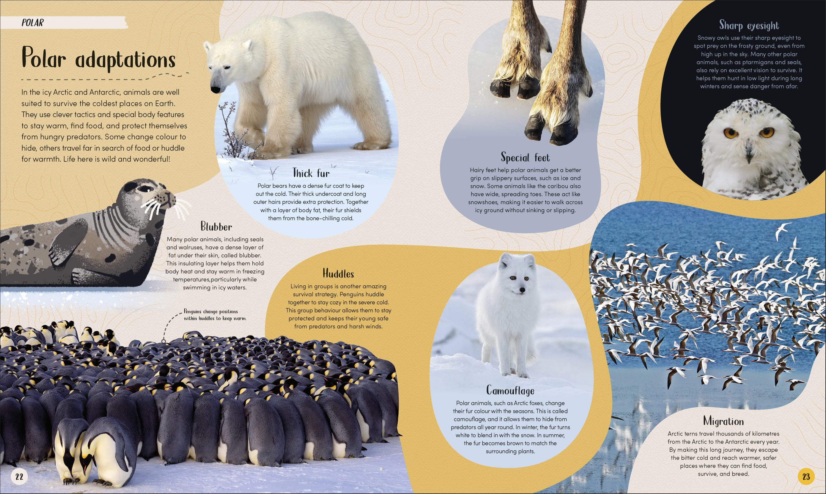 additional book photo