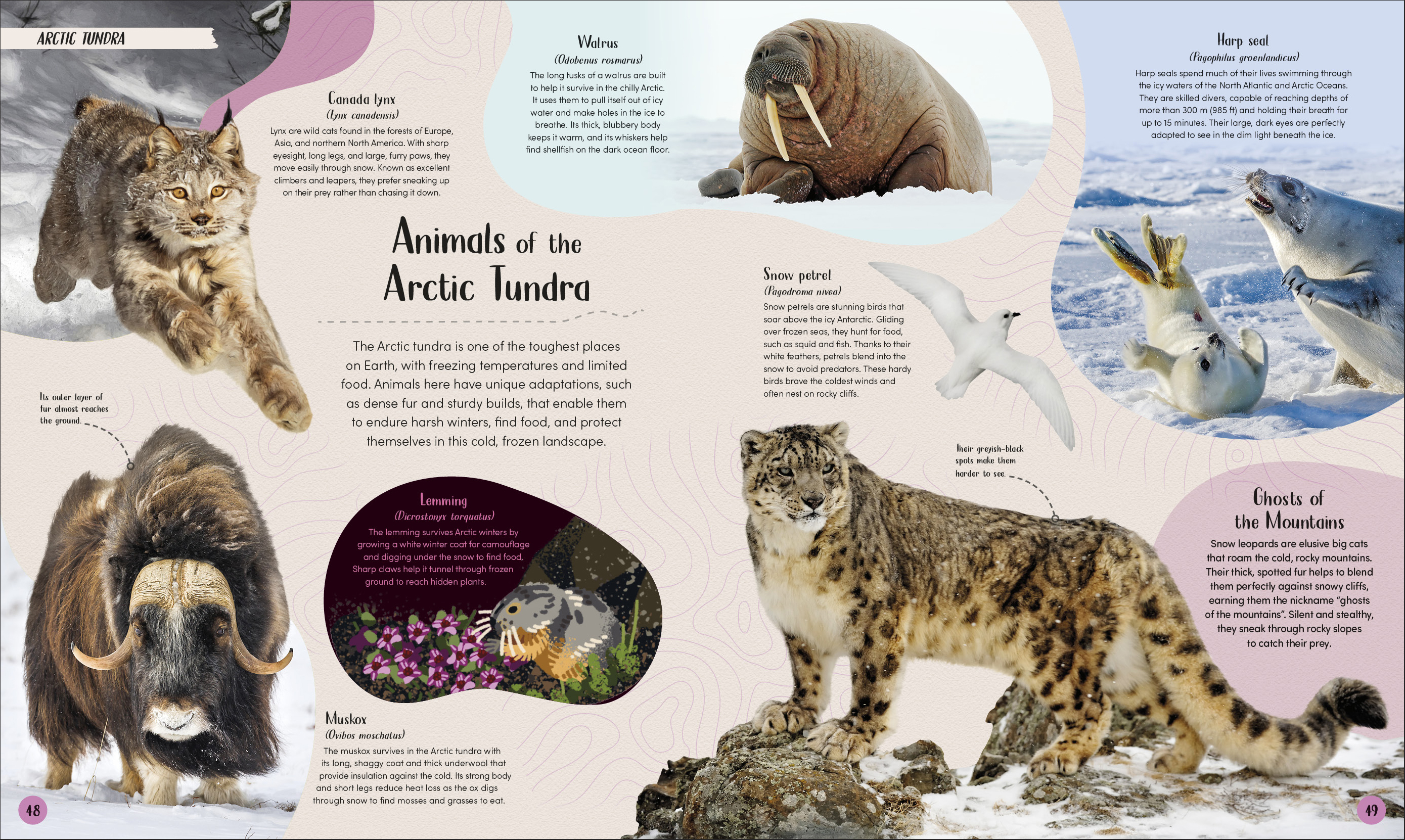 additional book photo