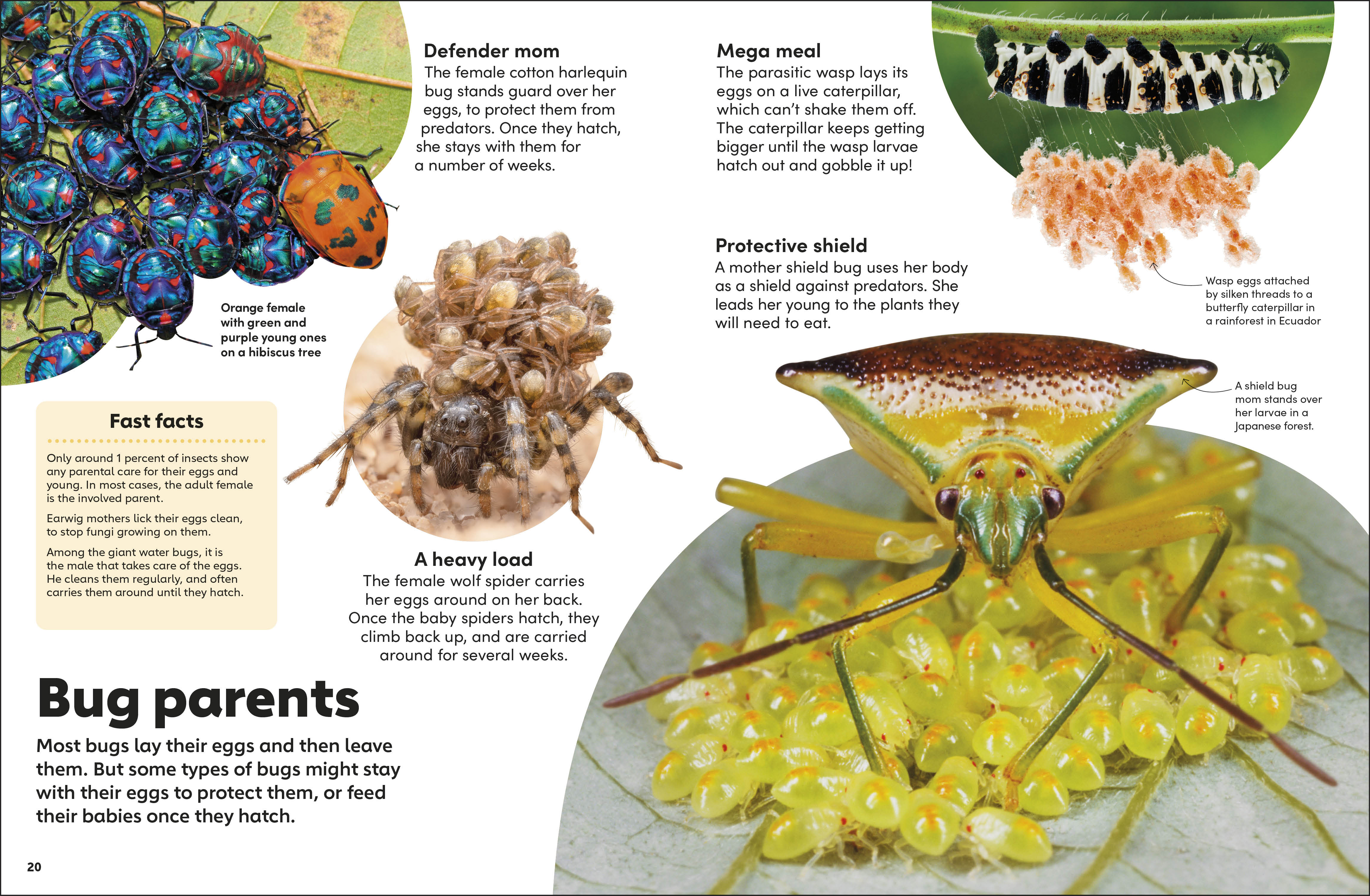 additional book photo