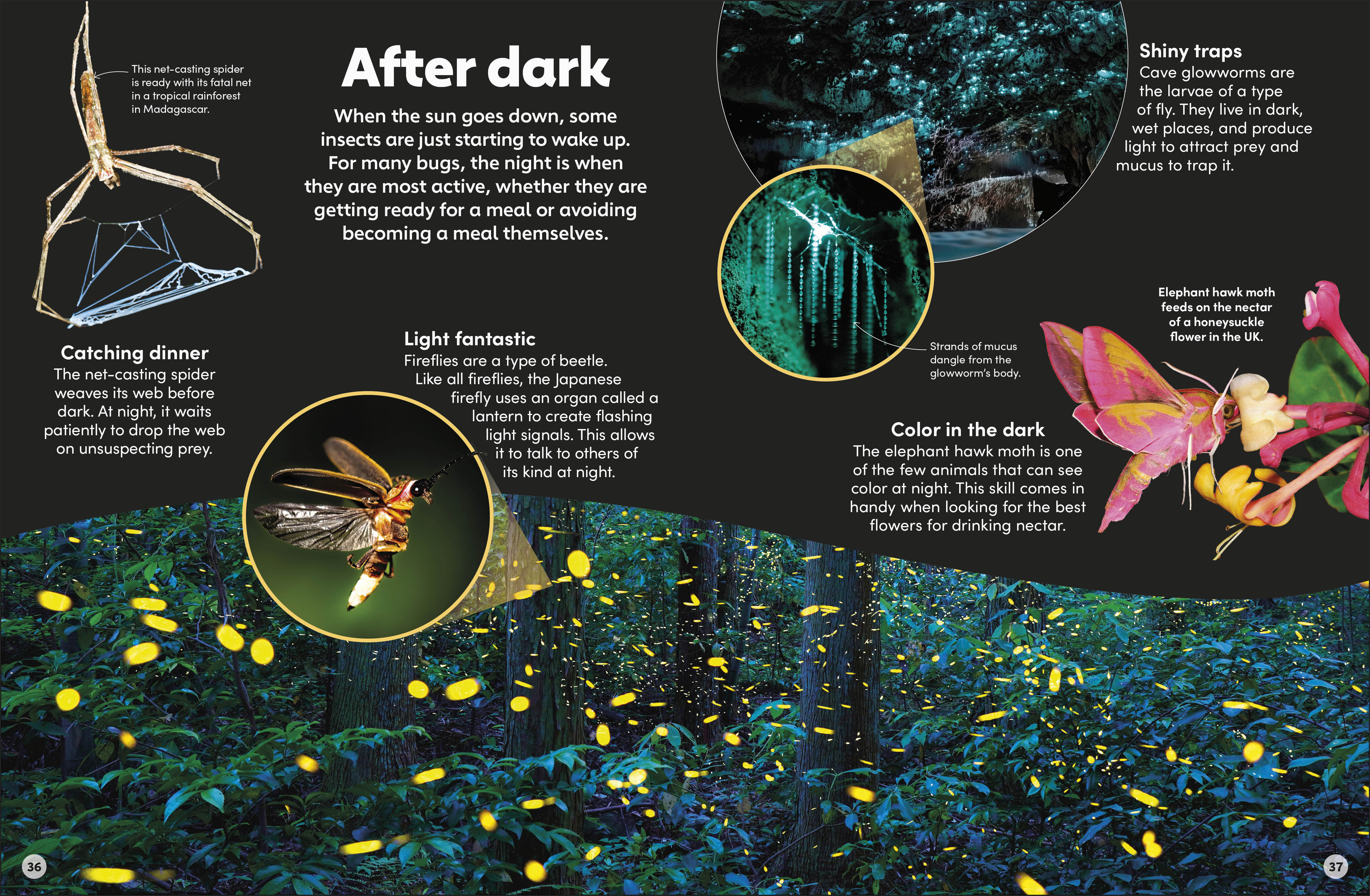 additional book photo