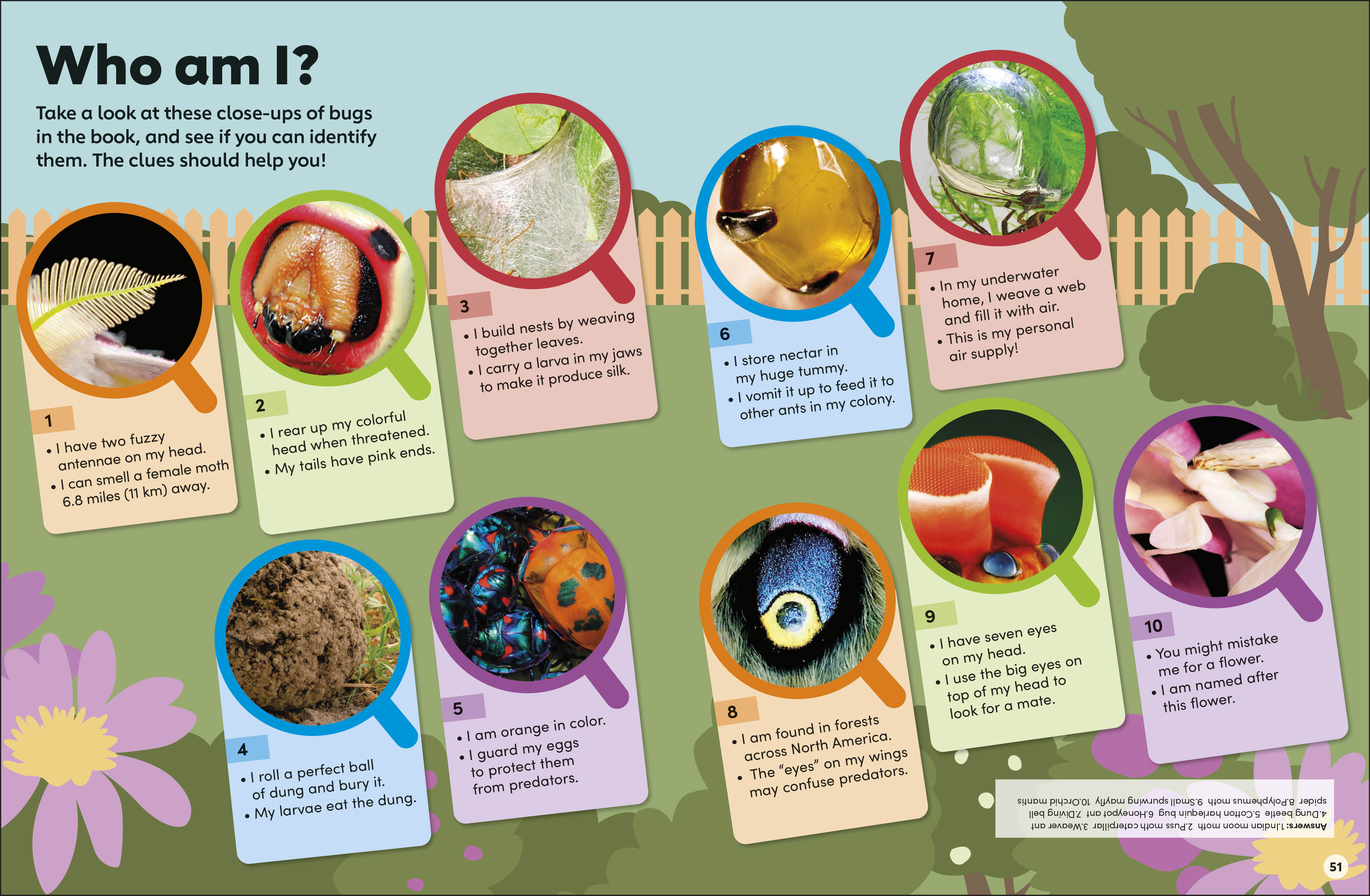 additional book photo