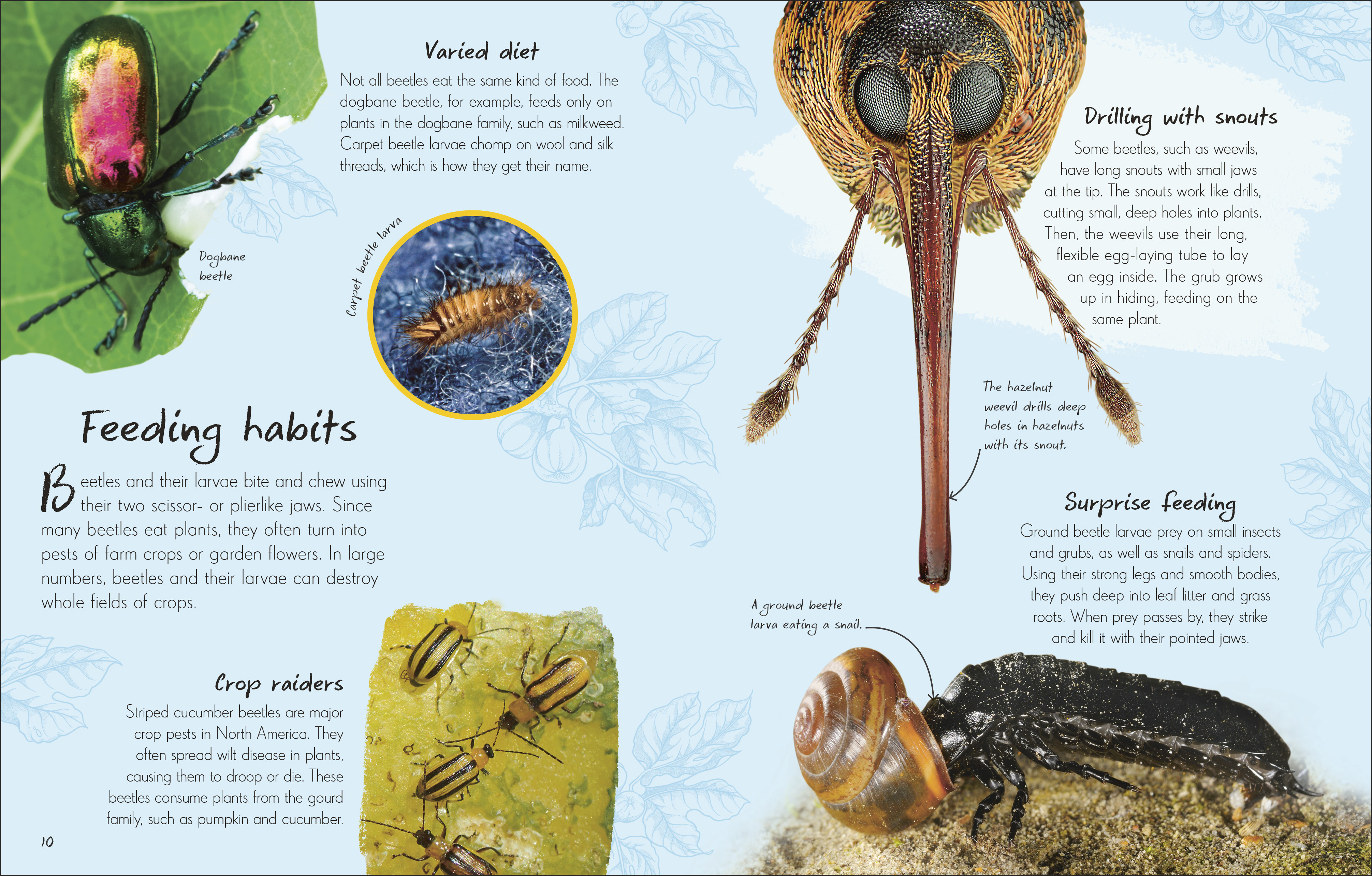 additional book photo