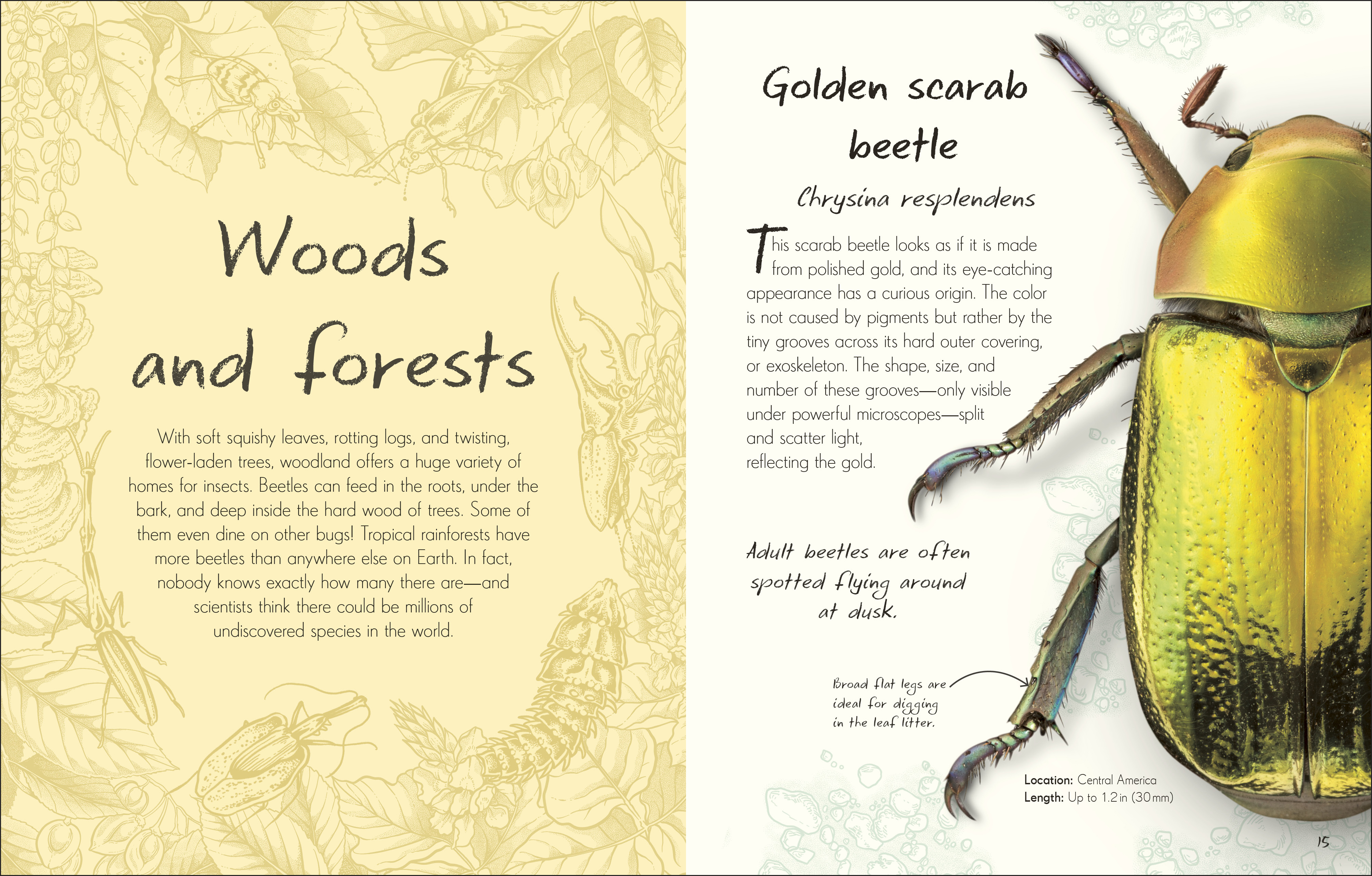 additional book photo