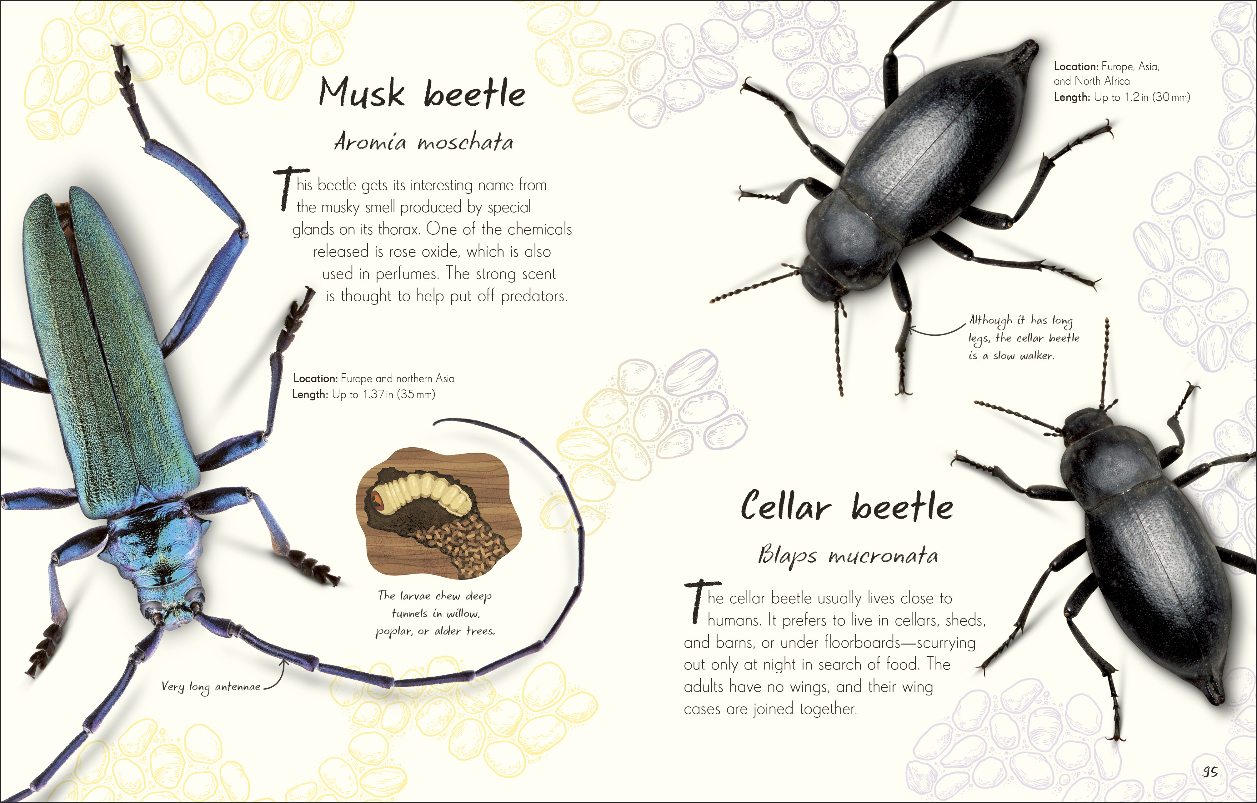 additional book photo