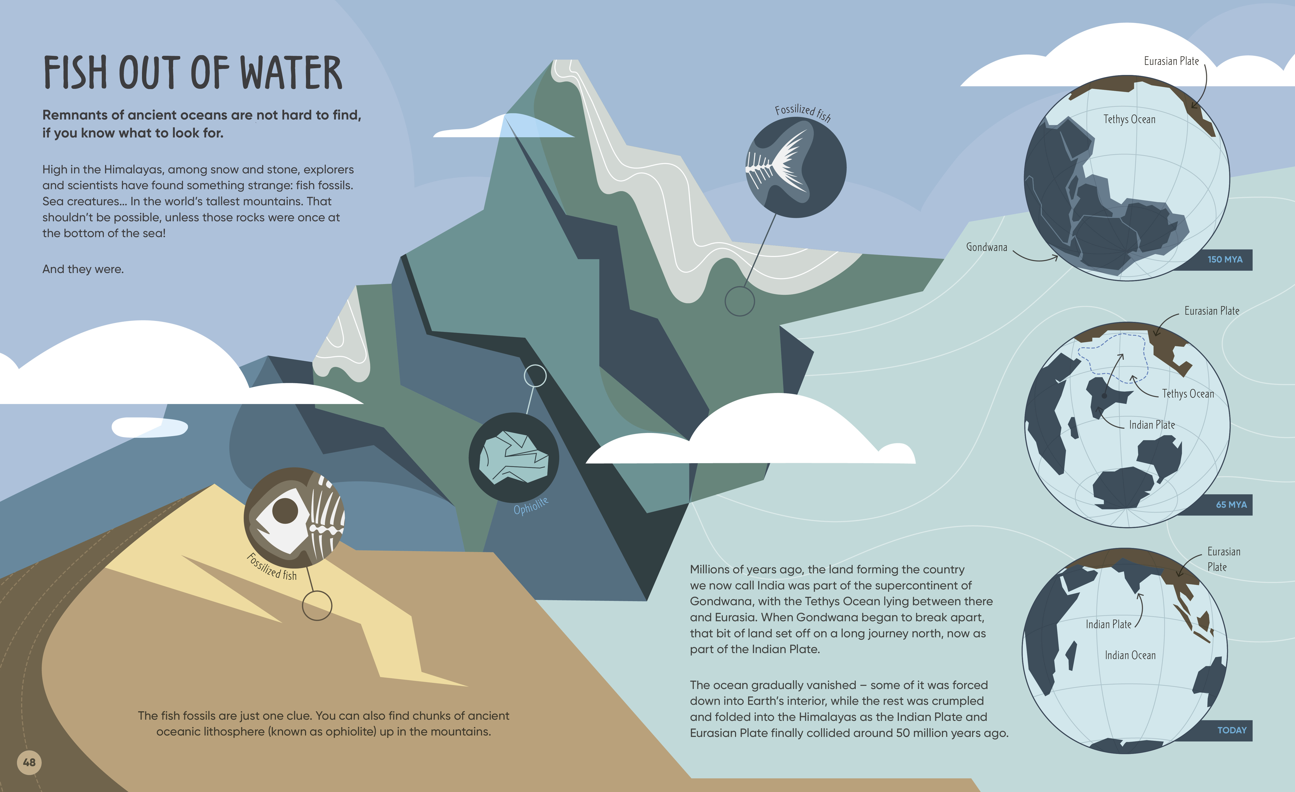 additional book photo