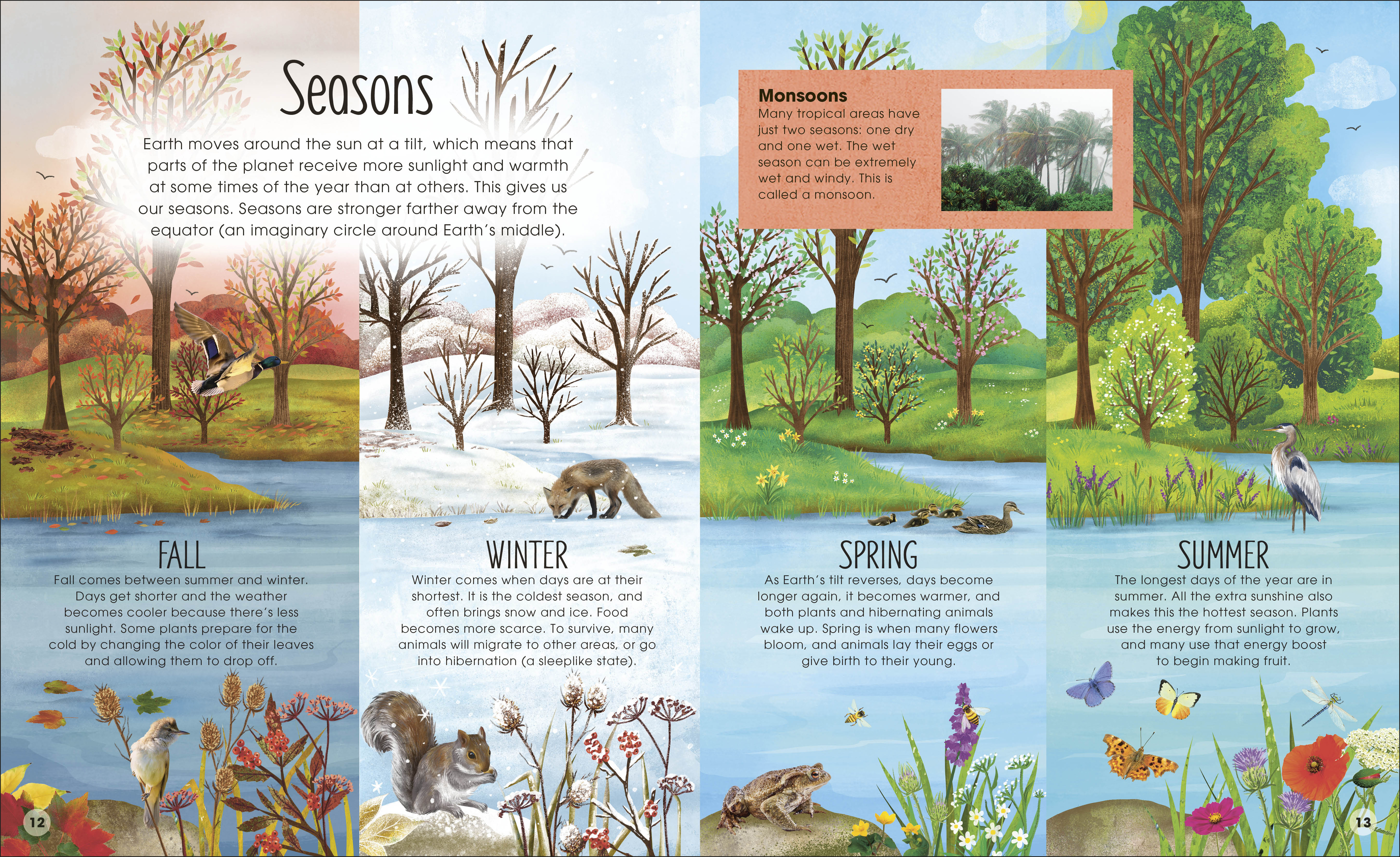 additional book photo