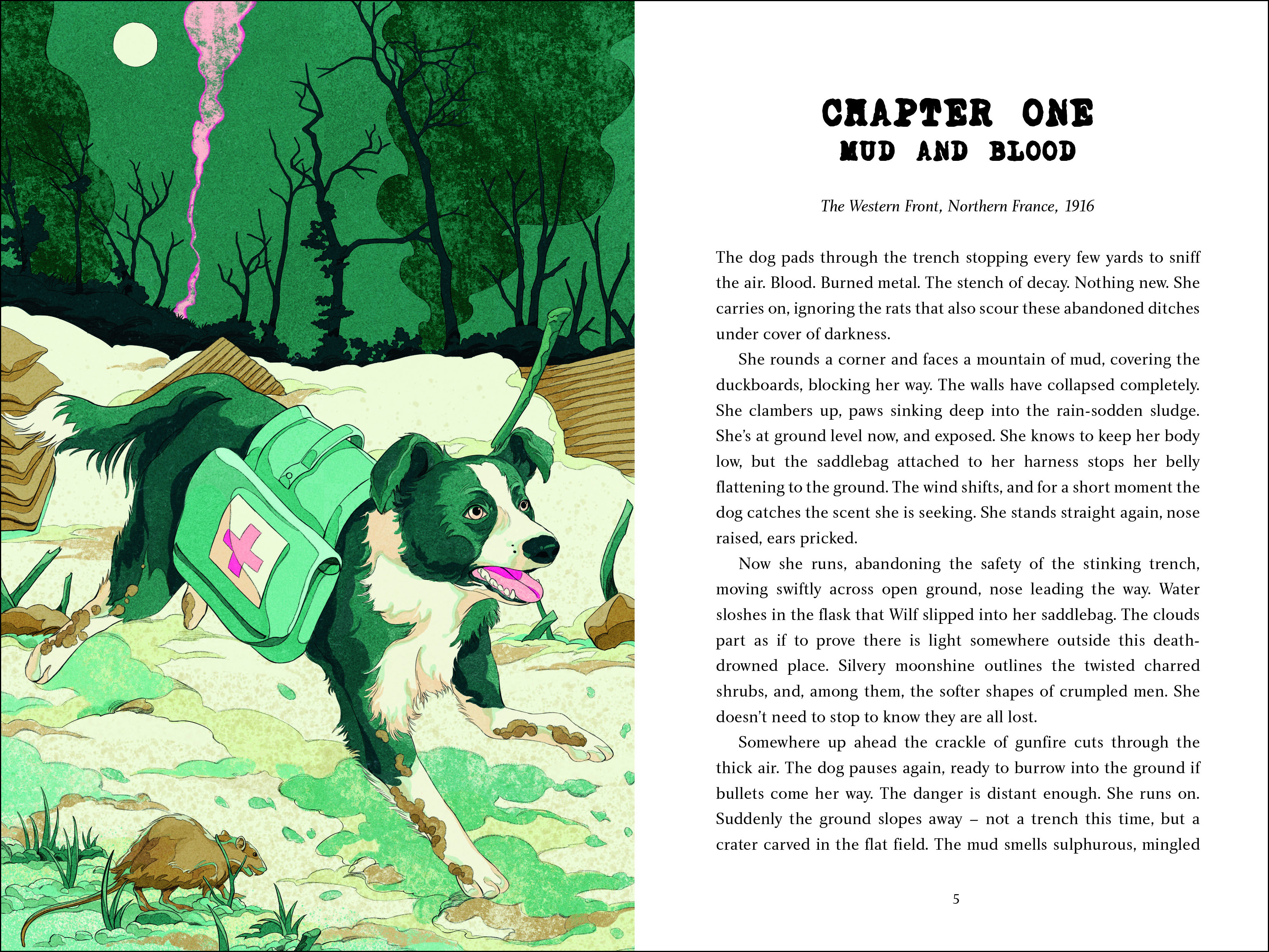 additional book photo