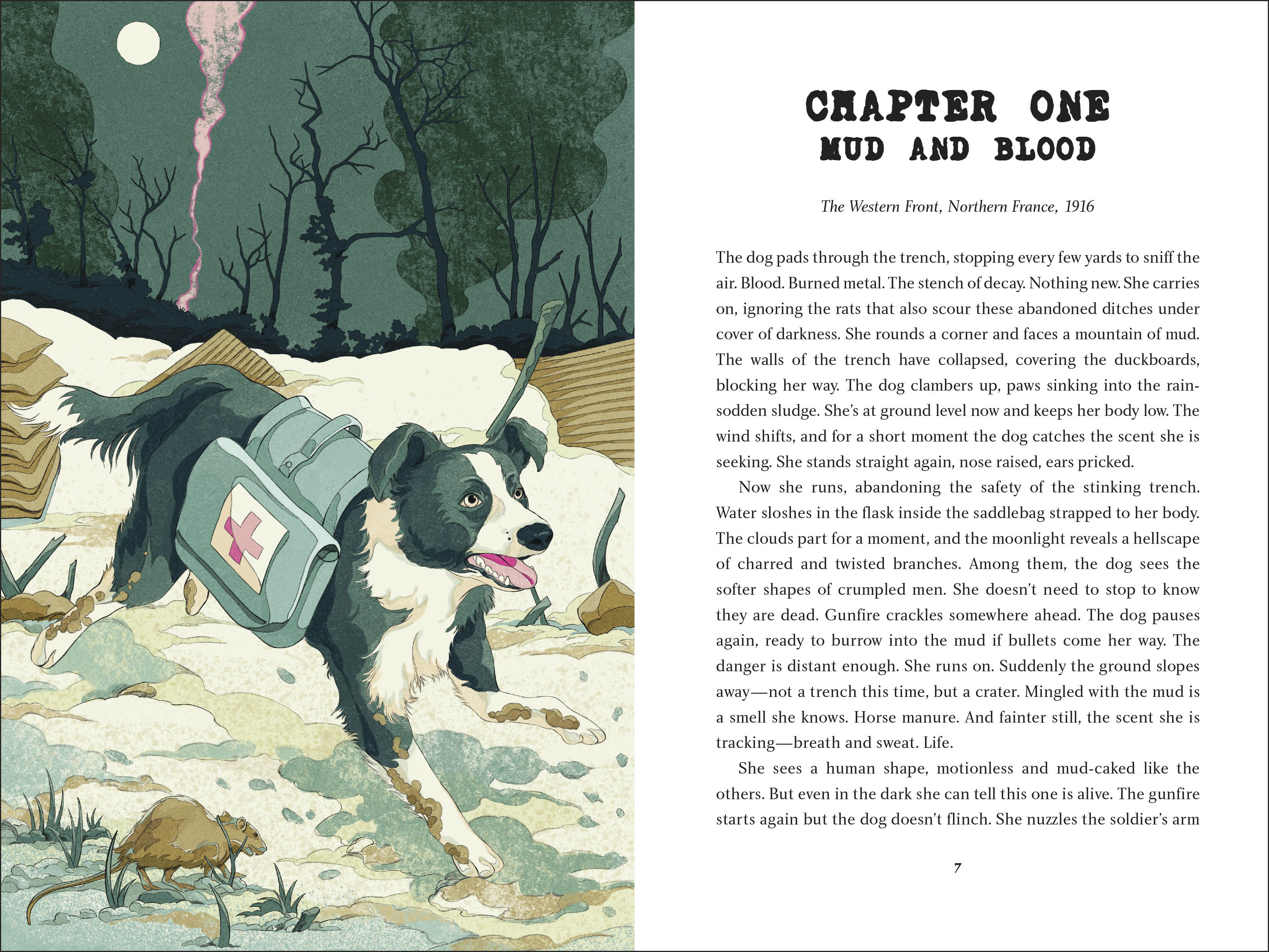 additional book photo
