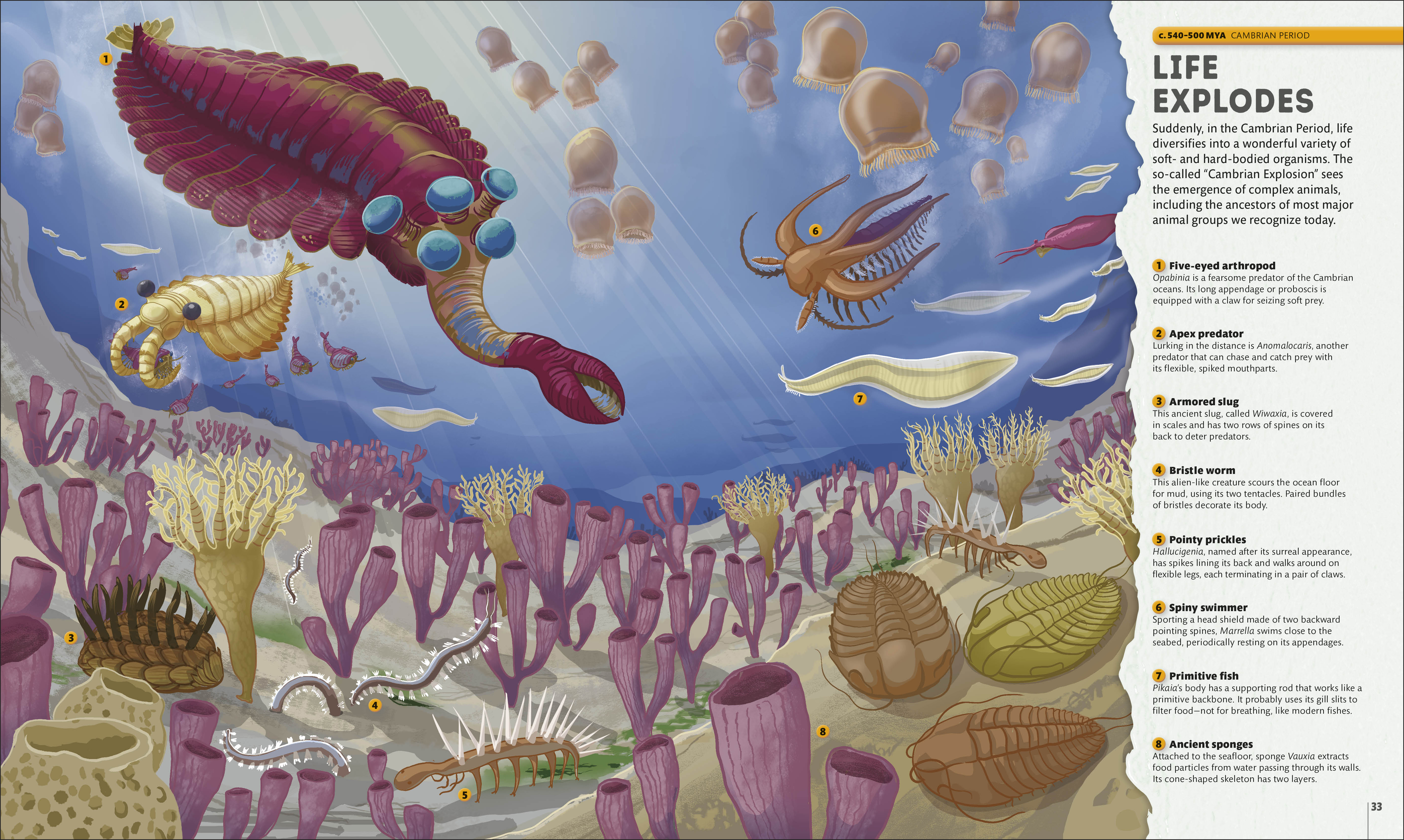 additional book photo