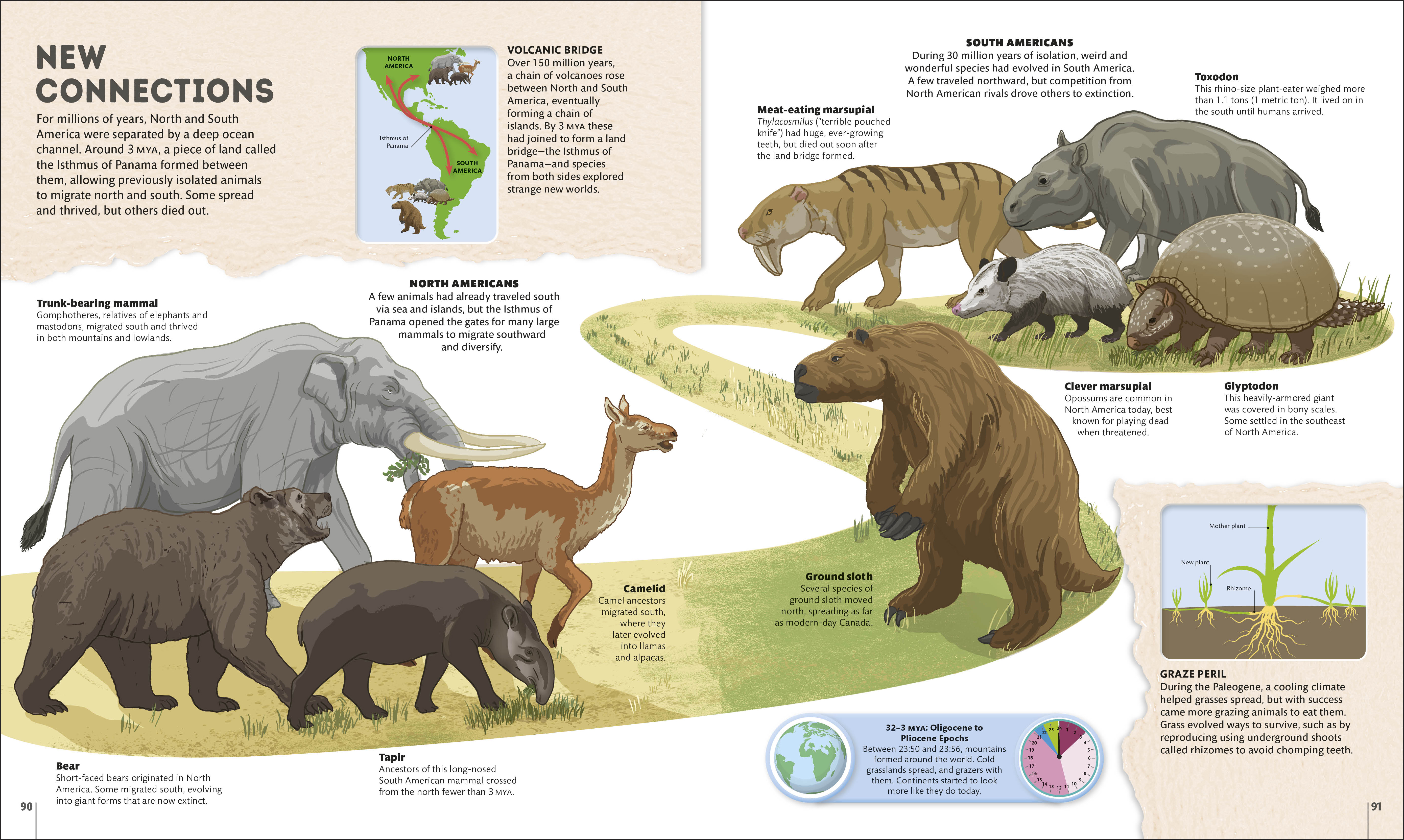 additional book photo