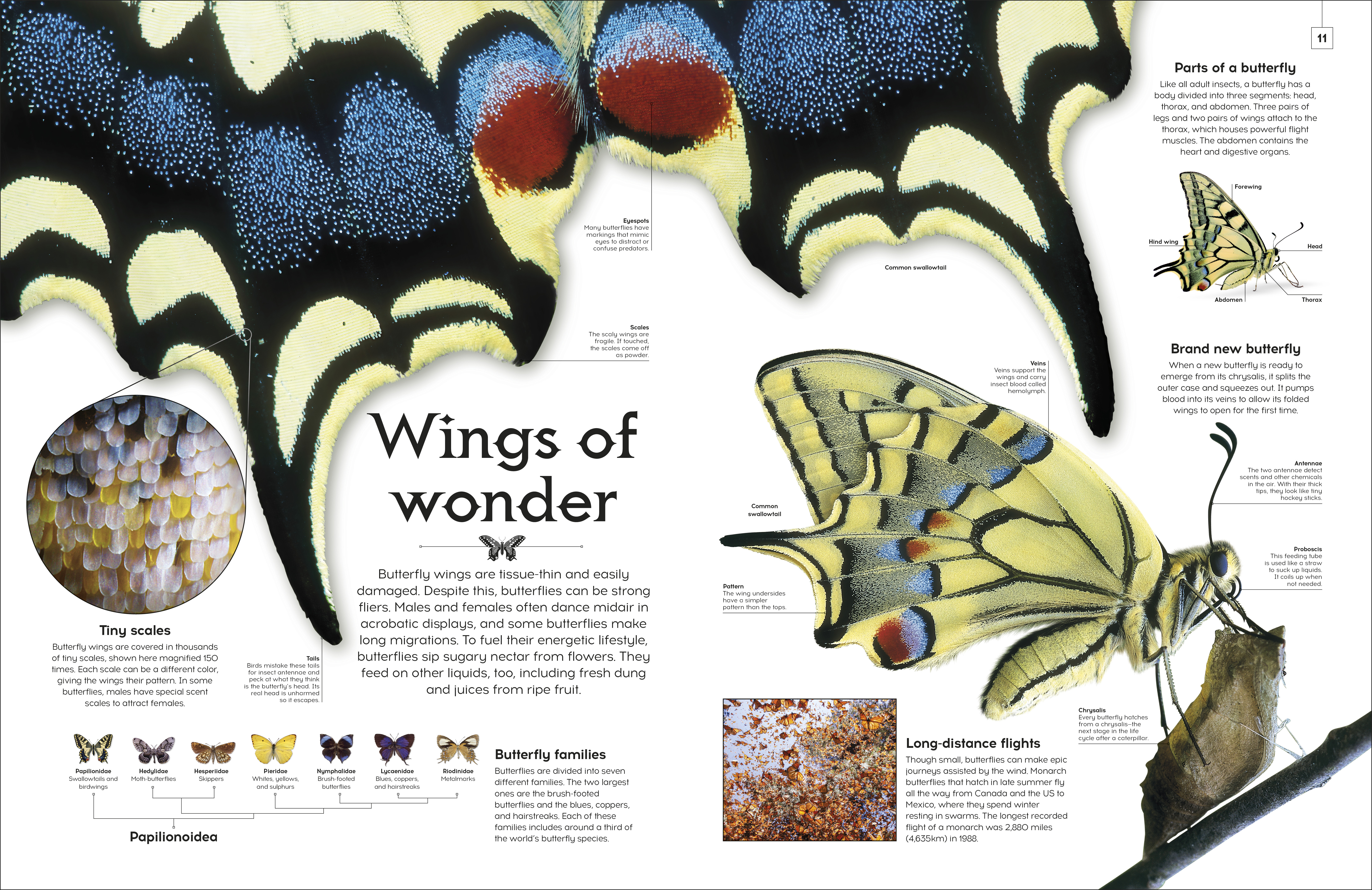 additional book photo