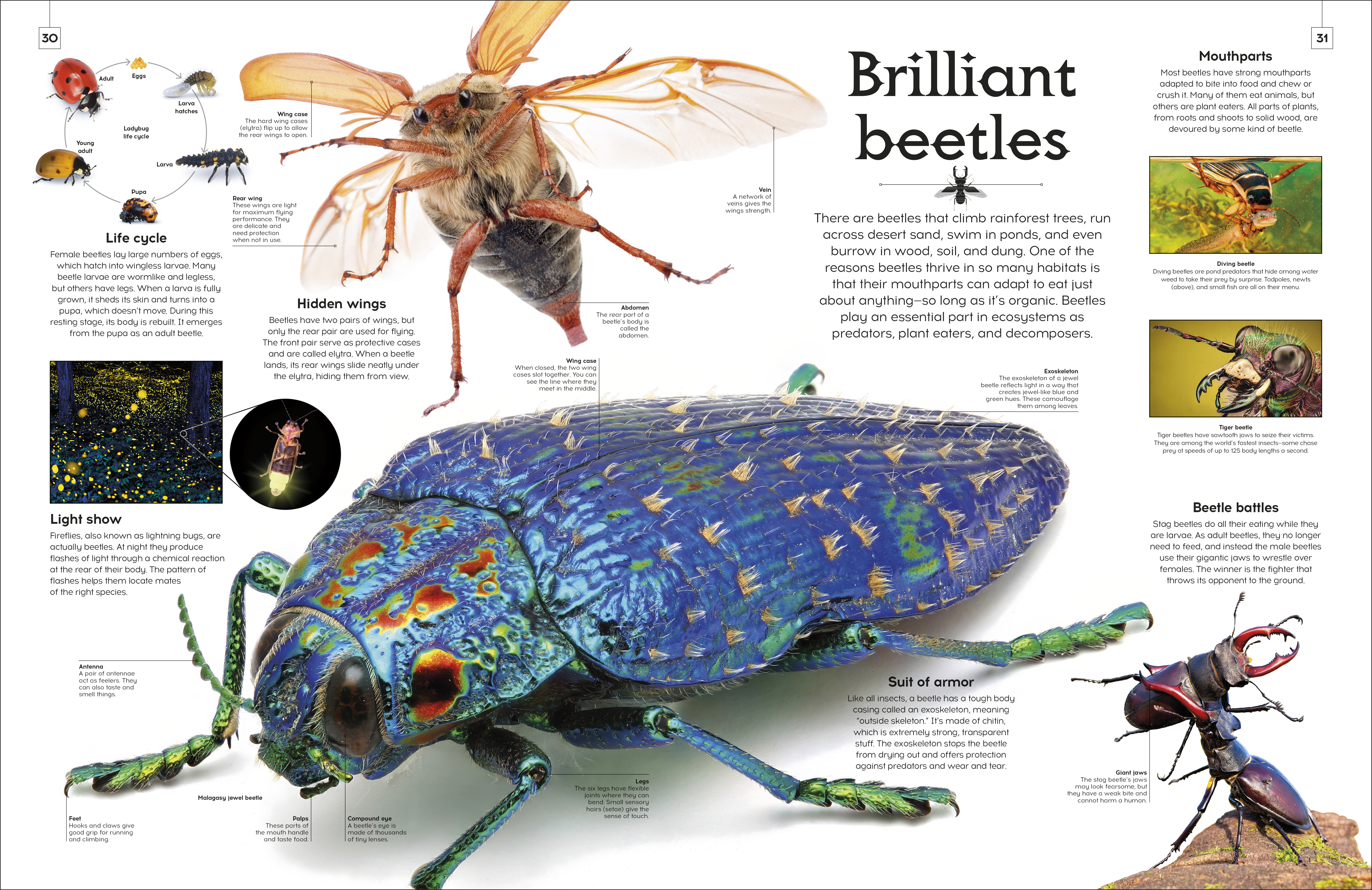 additional book photo