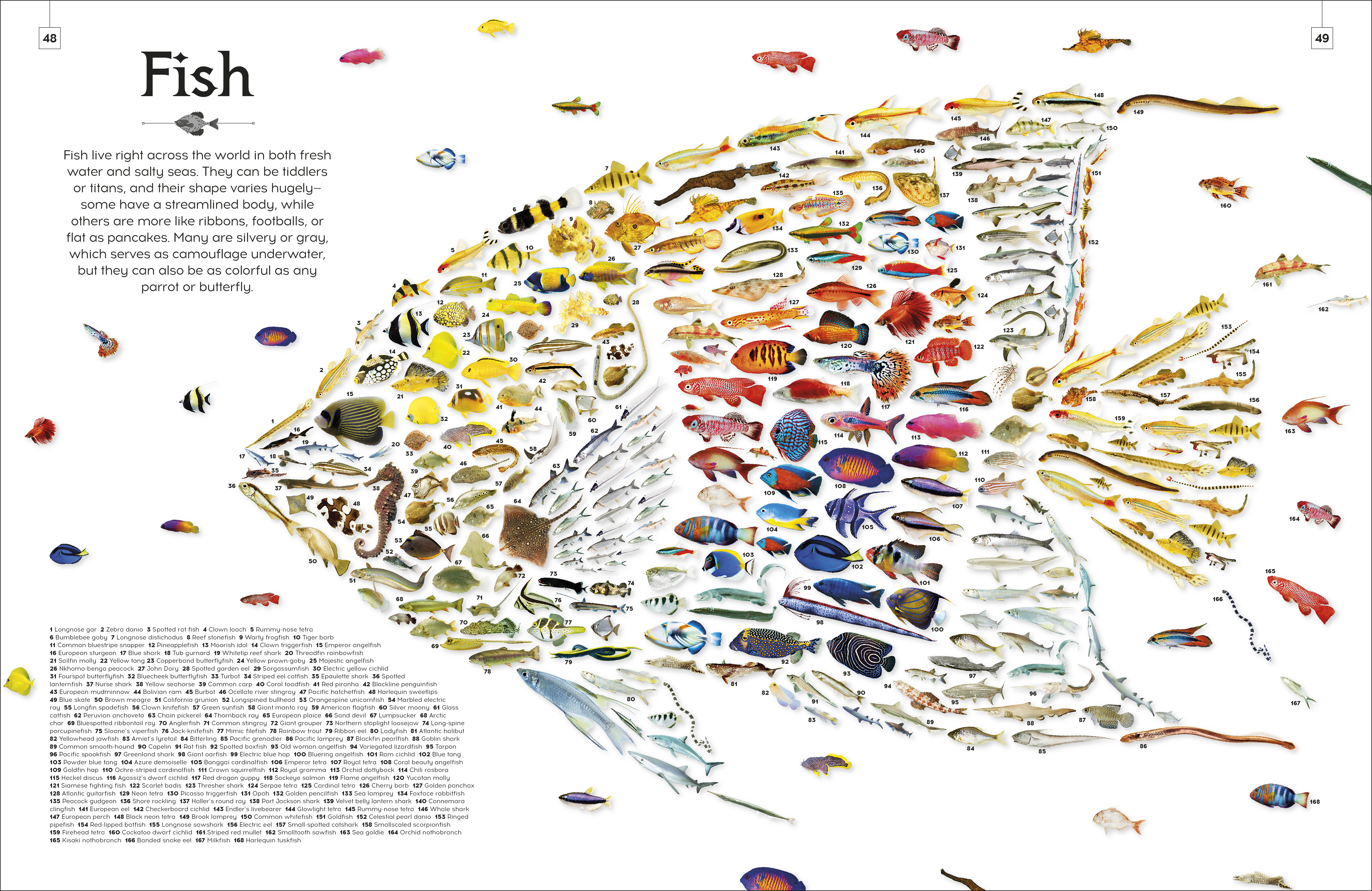 additional book photo