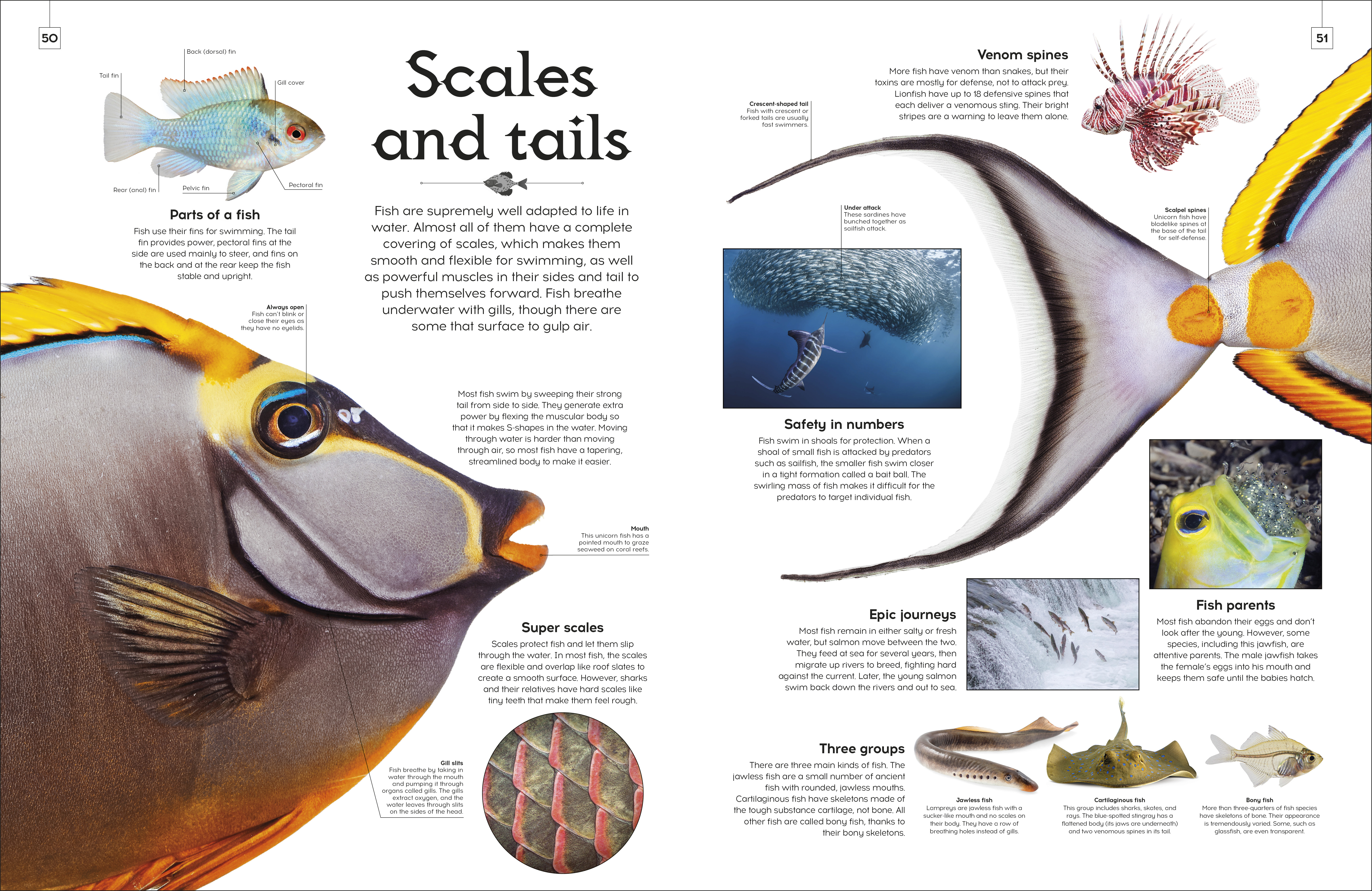 additional book photo