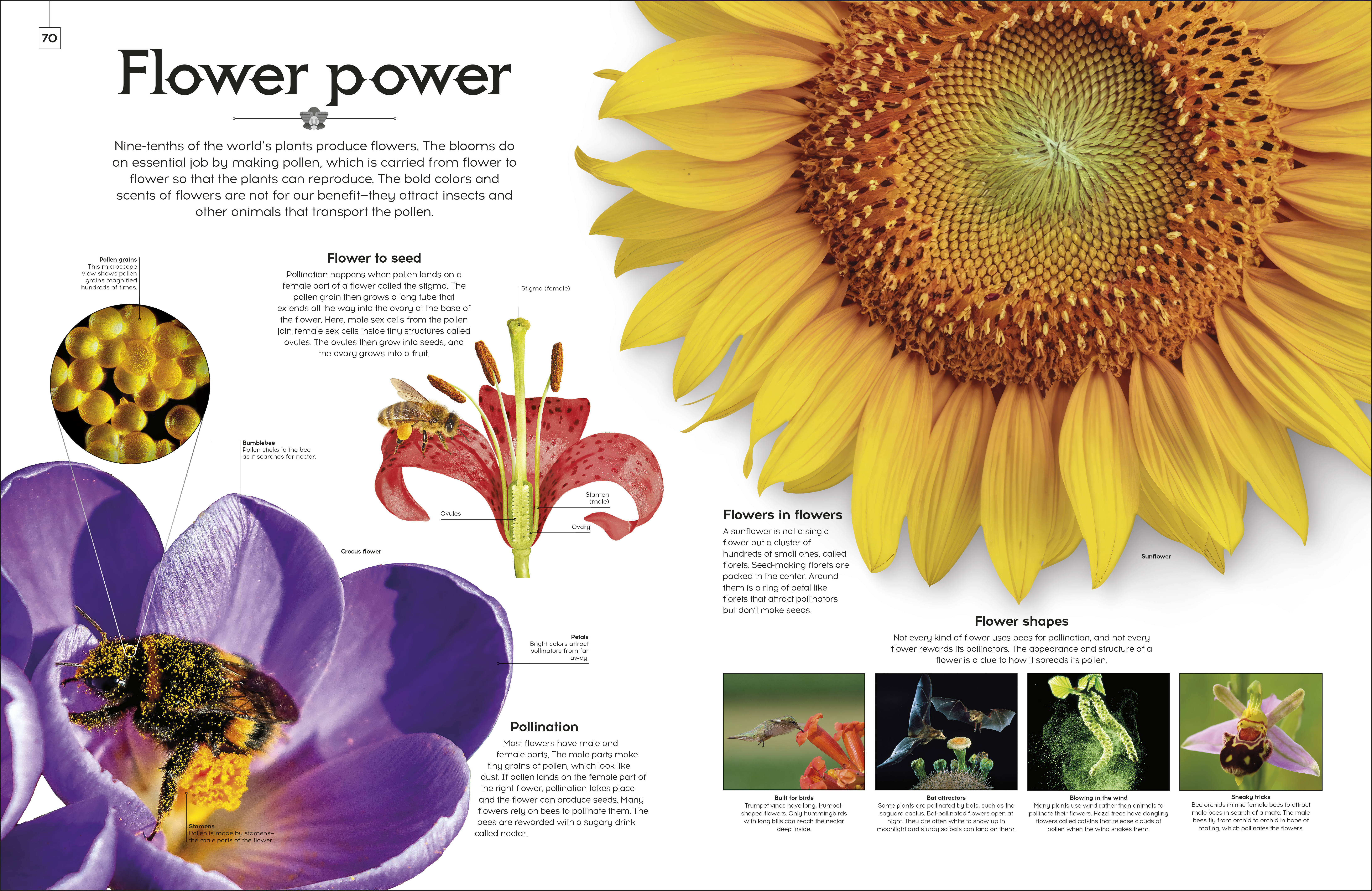 additional book photo