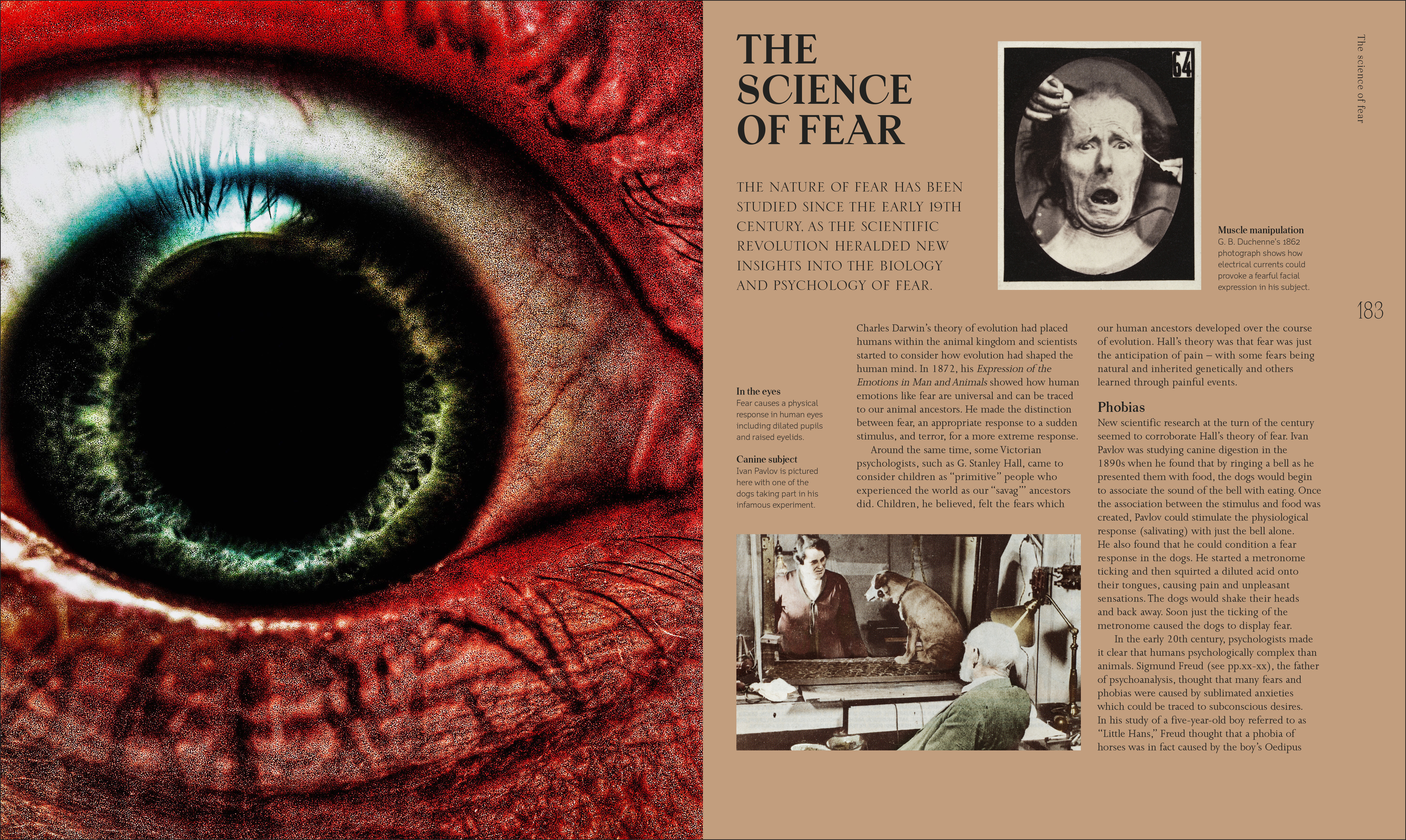 additional book photo
