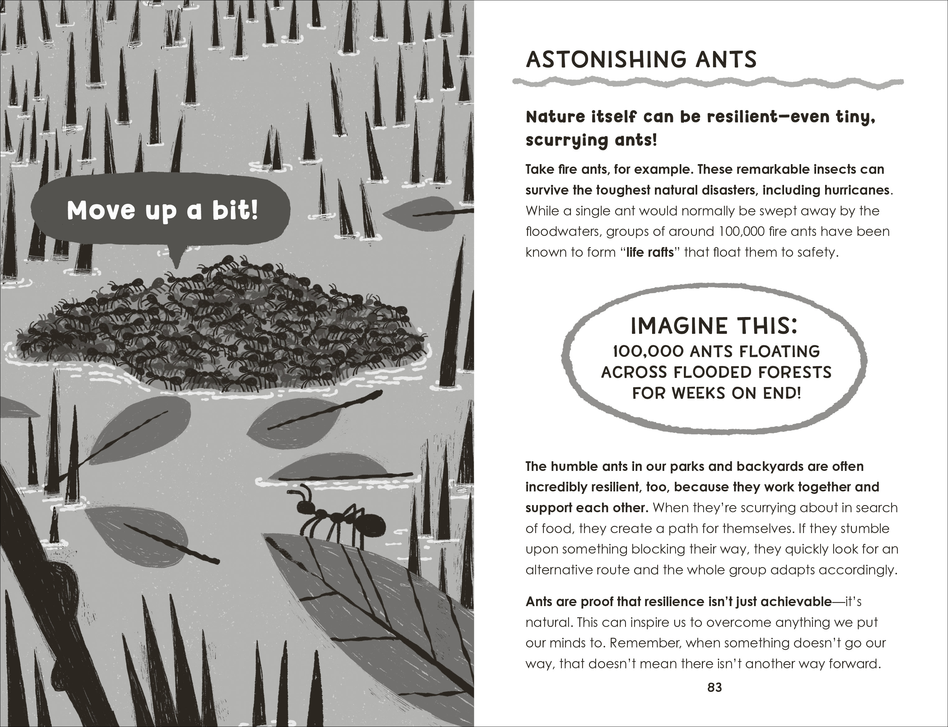 additional book photo